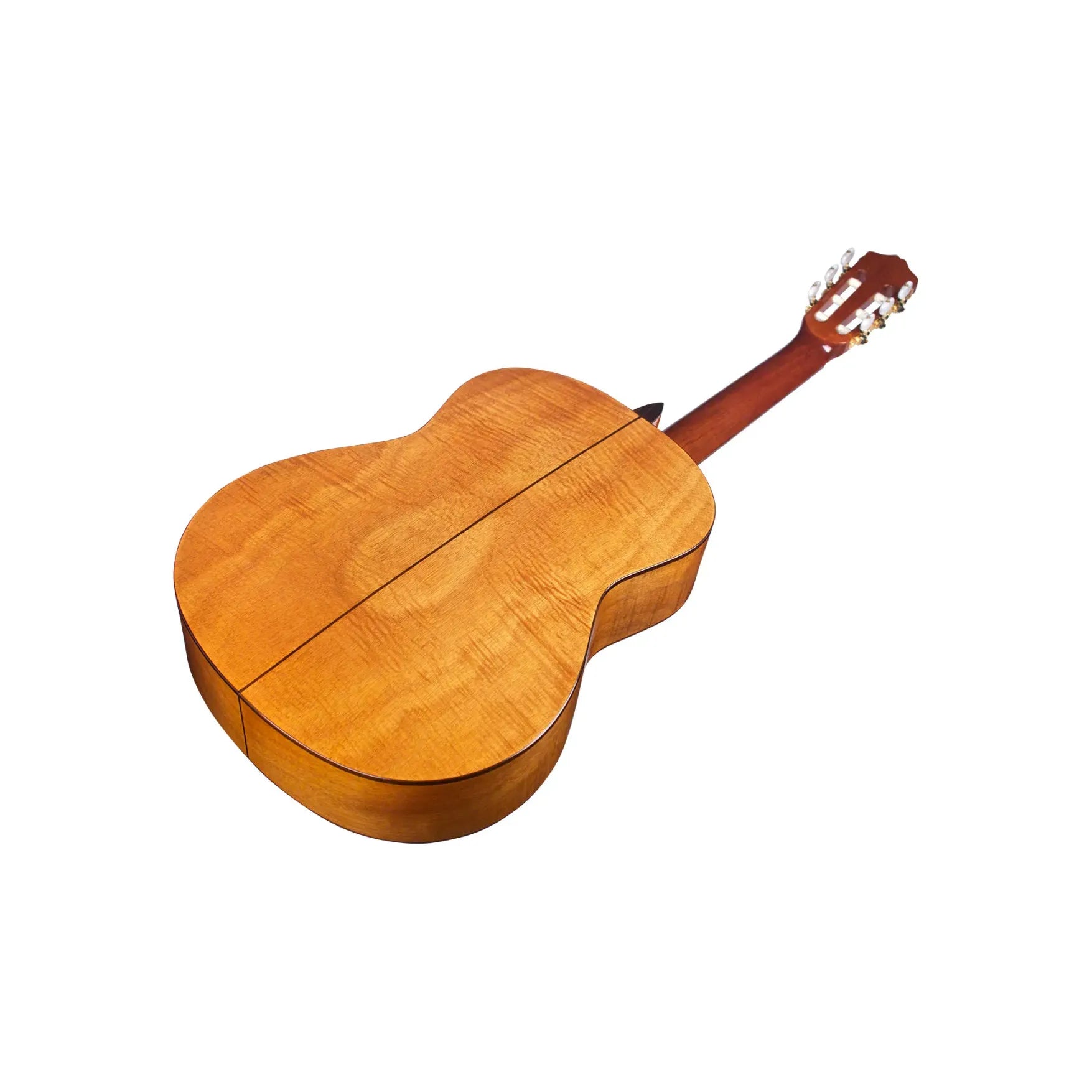 Đàn Guitar Classic Cordoba C5 Limited w/Deluxe Gig Bag - Việt Music