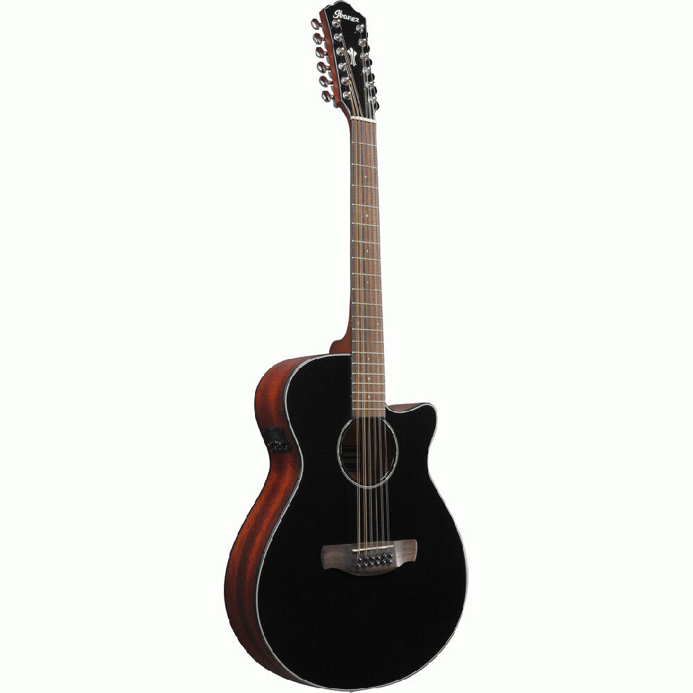 Đàn Guitar Acoustic Ibanez AEG5012 - 12 Strings - Việt Music