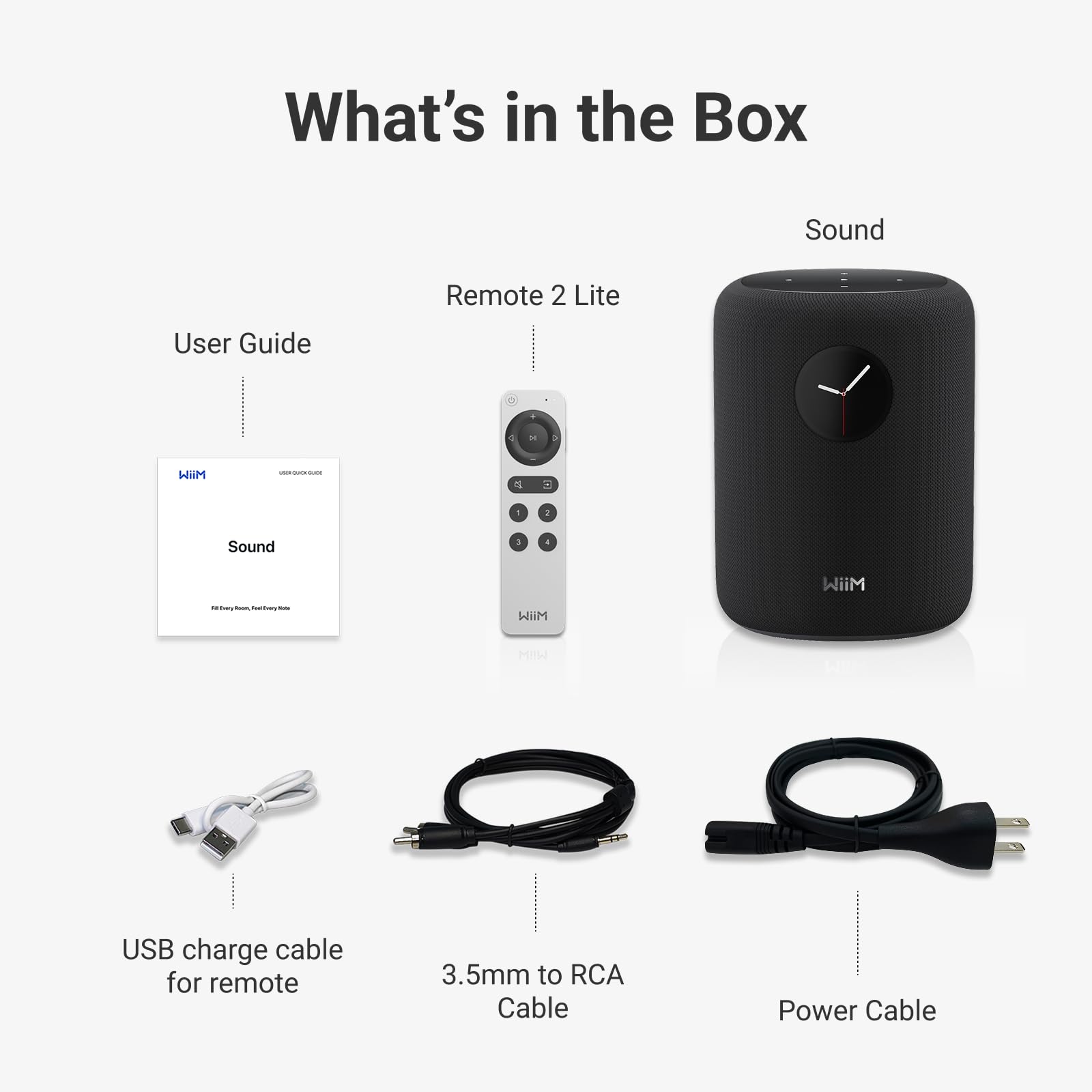 Loa WiiM Sound Bluetooth, 100W - Việt Music