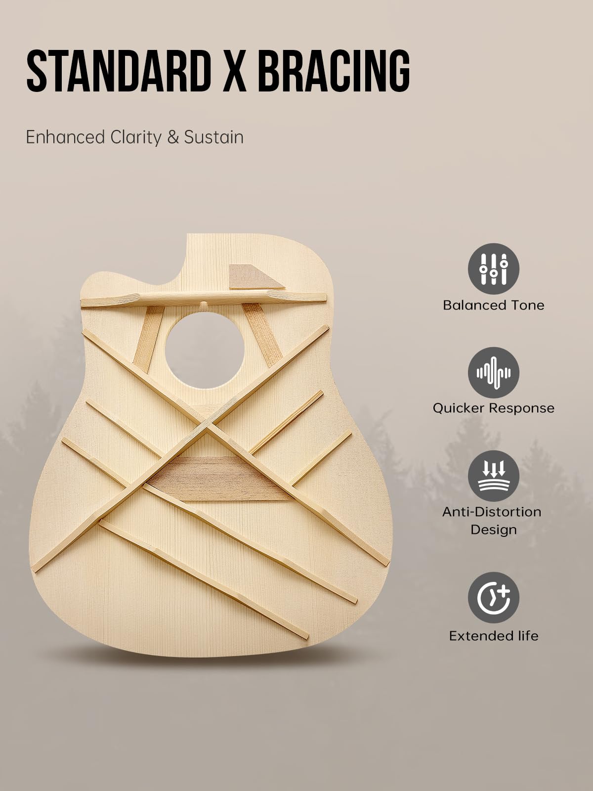 Đàn Guitar Acoustic Rosen G11D - Việt Music