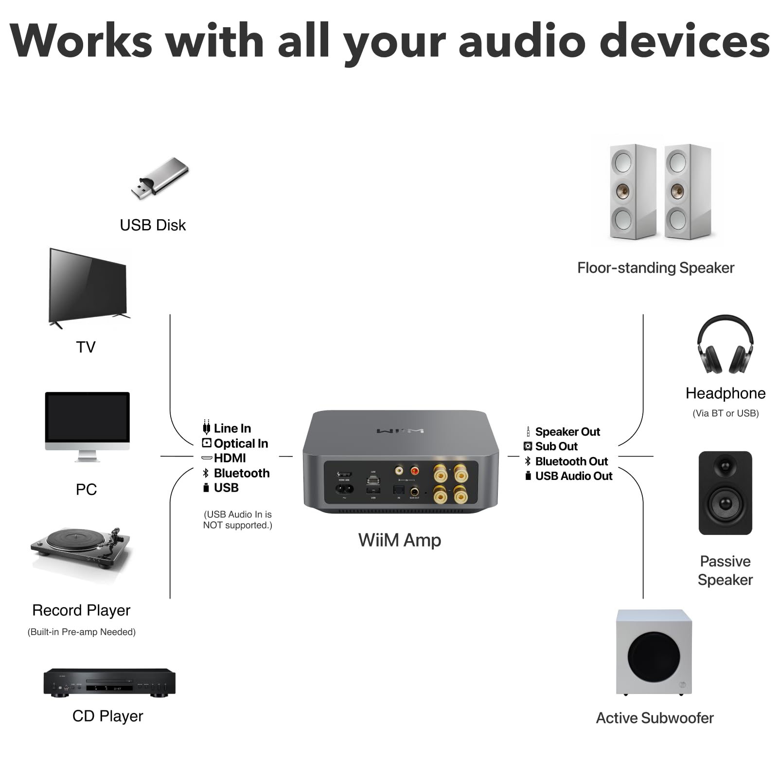 Amply WiiM Amp - Streaming Amplifiers - Việt Music