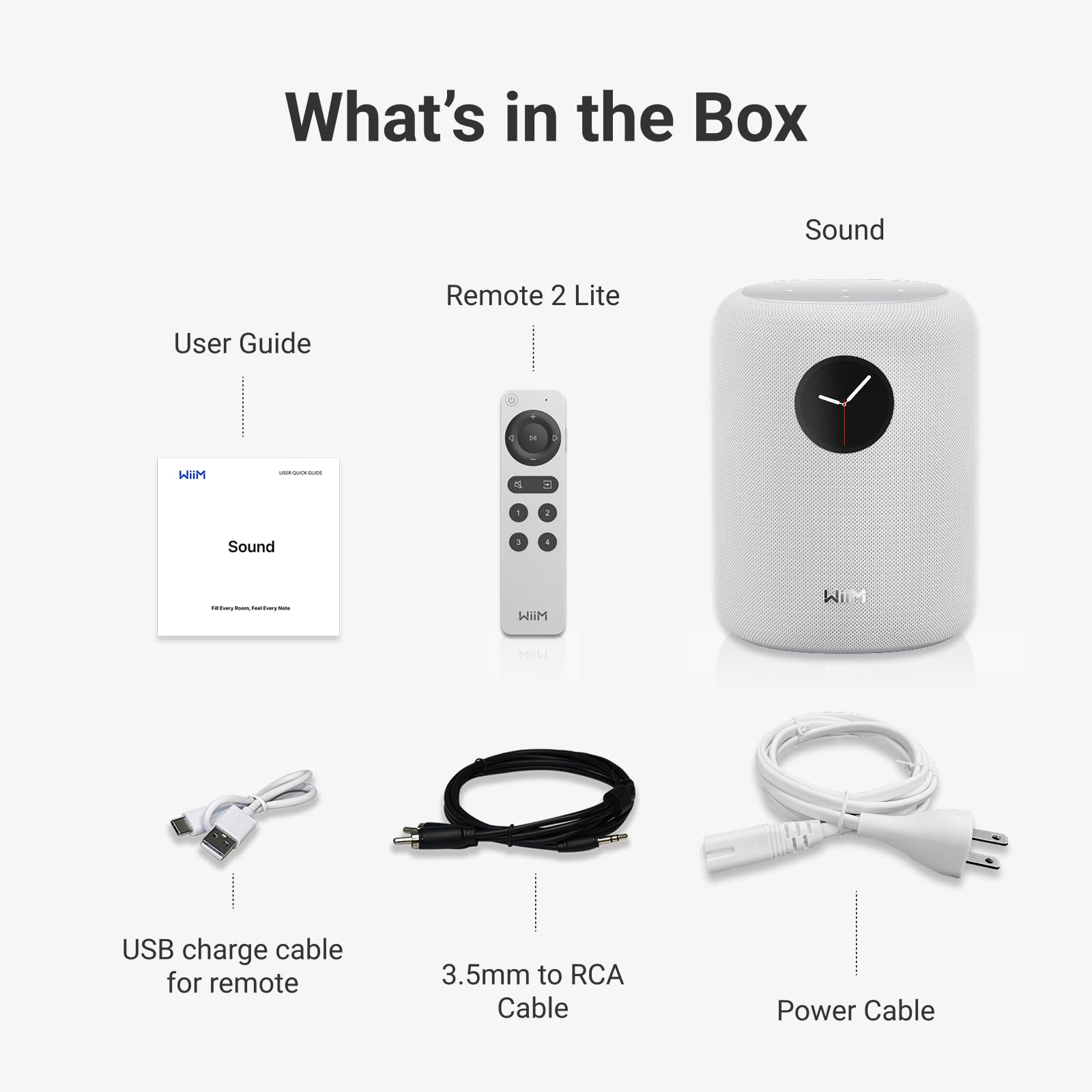 Loa WiiM Sound Bluetooth, 100W - Việt Music