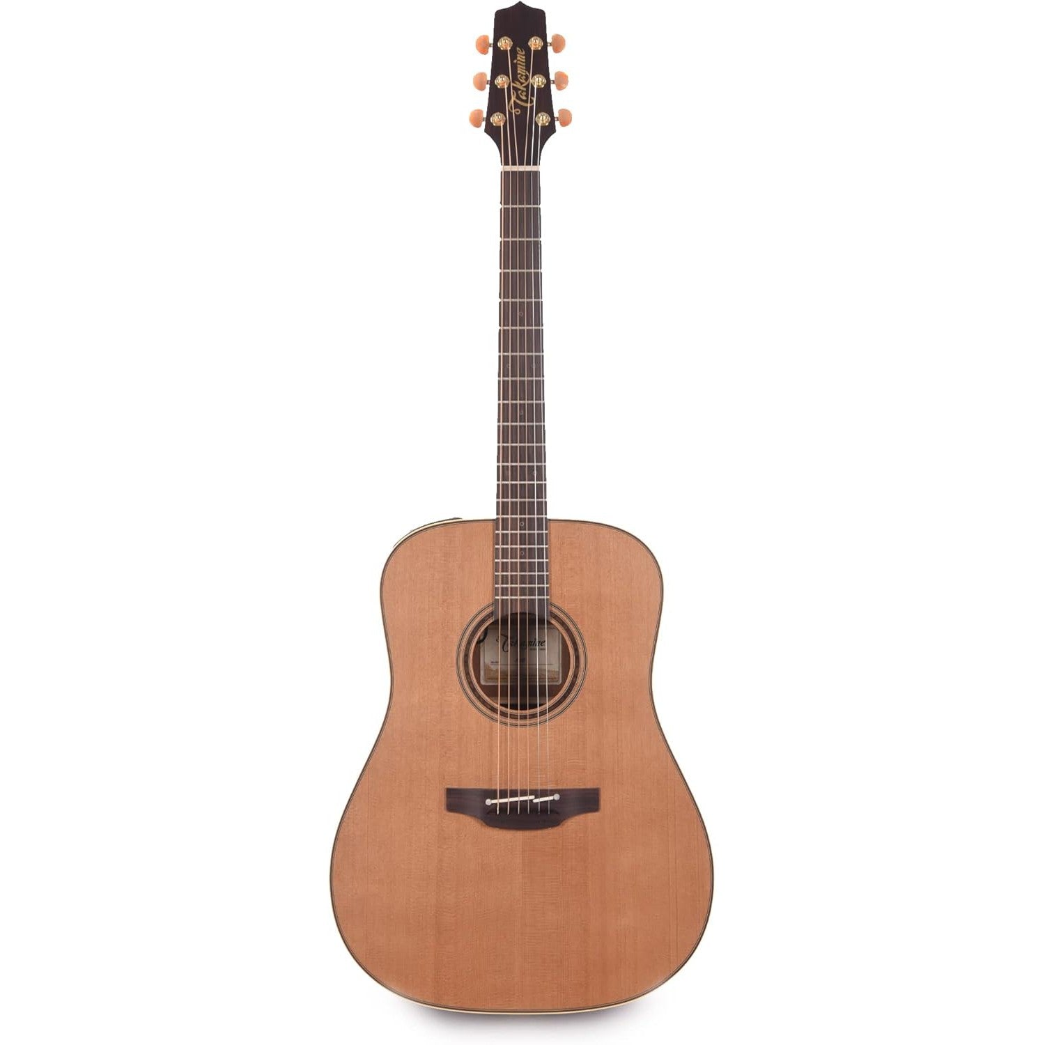 Đàn Guitar Acoustic Takamine P3D - Việt Music