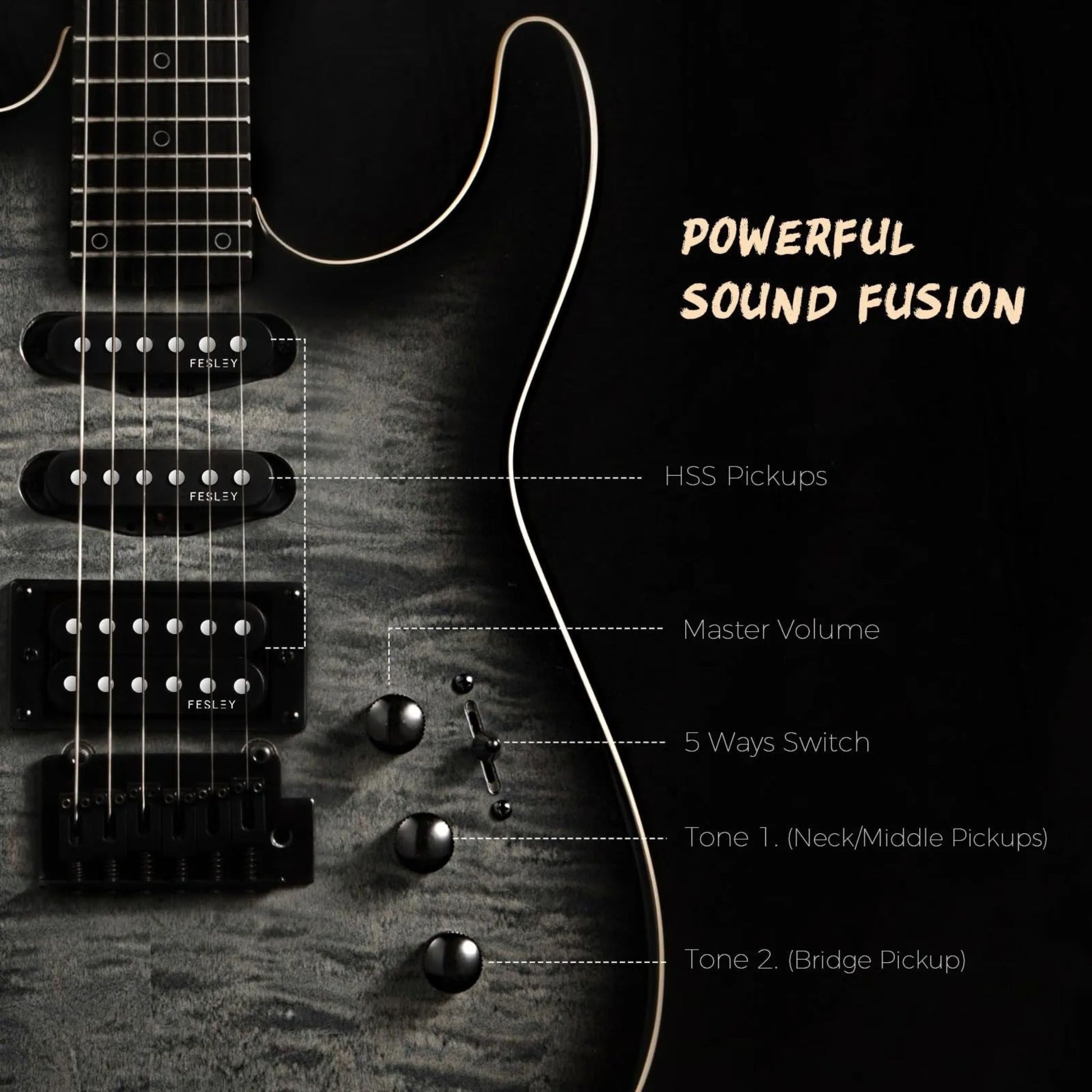 Đàn Guitar Điện Fesley FDK800 HSS, Mixed Fingerboard - Việt Music