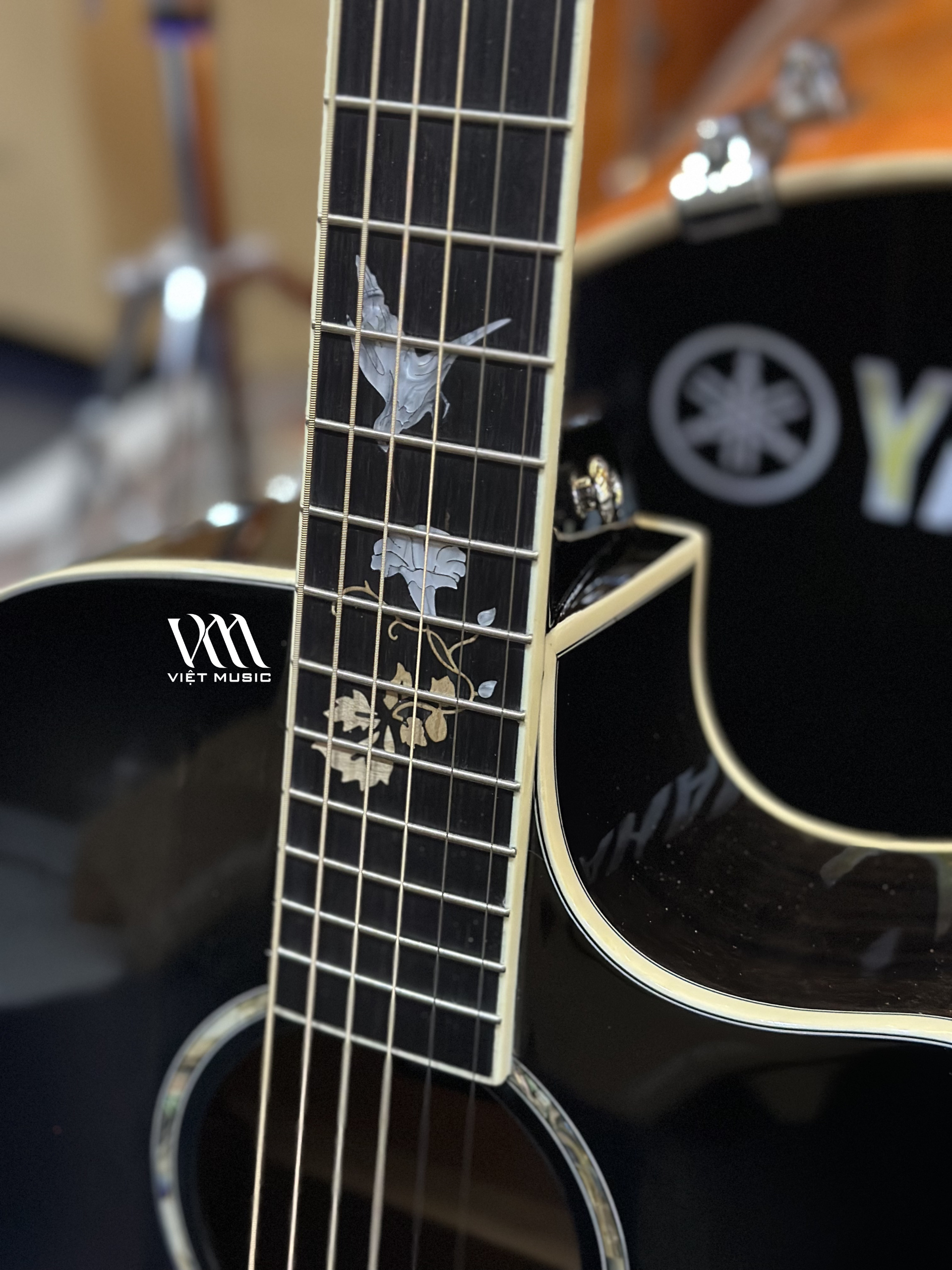Đàn Guitar Acoustic Murcia AS-20CE - Việt Music