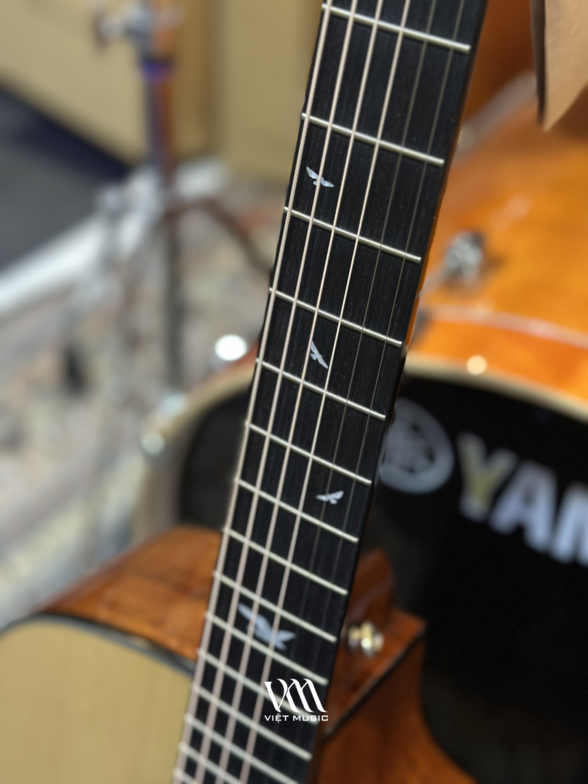 Đàn Guitar Acoustic Murcia AS-10CE - Việt Music