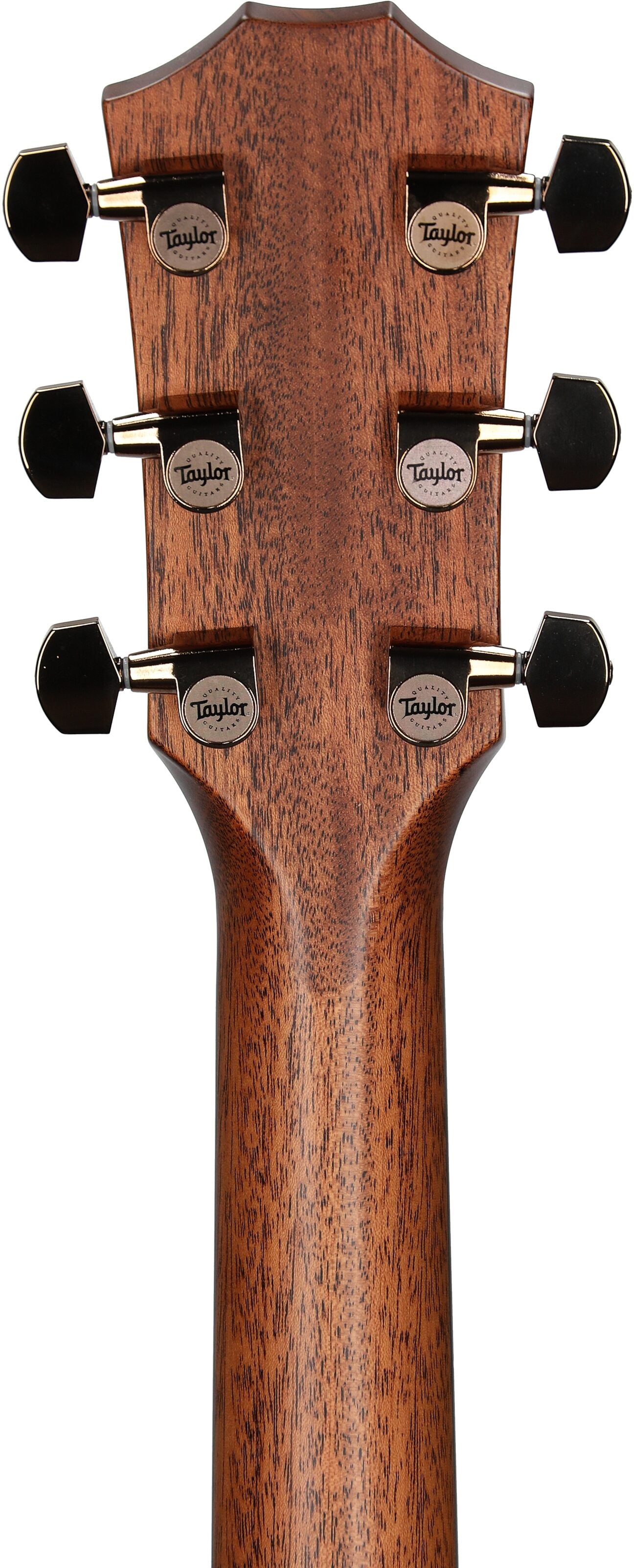 Đàn Guitar Acoustic Taylor 724CE - Việt Music