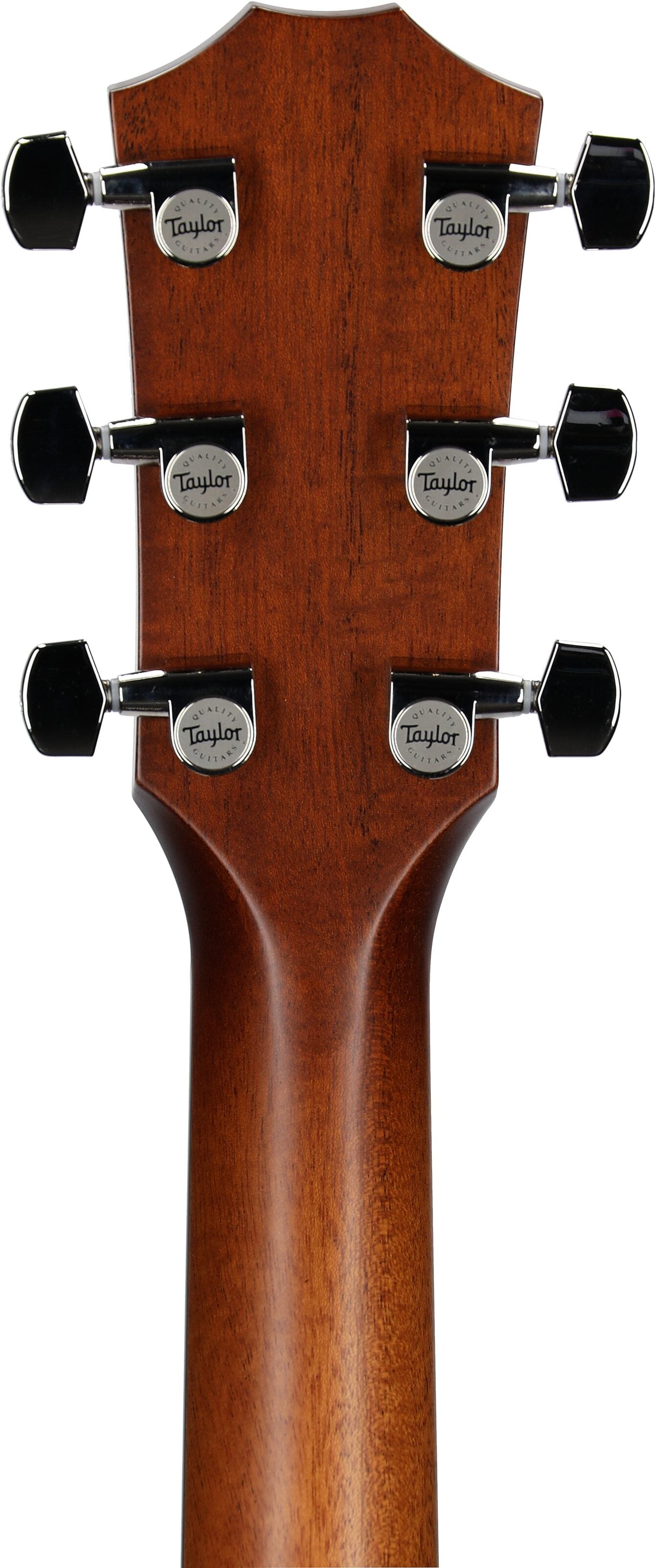 Đàn Guitar Acoustic Taylor 514CE - Việt Music