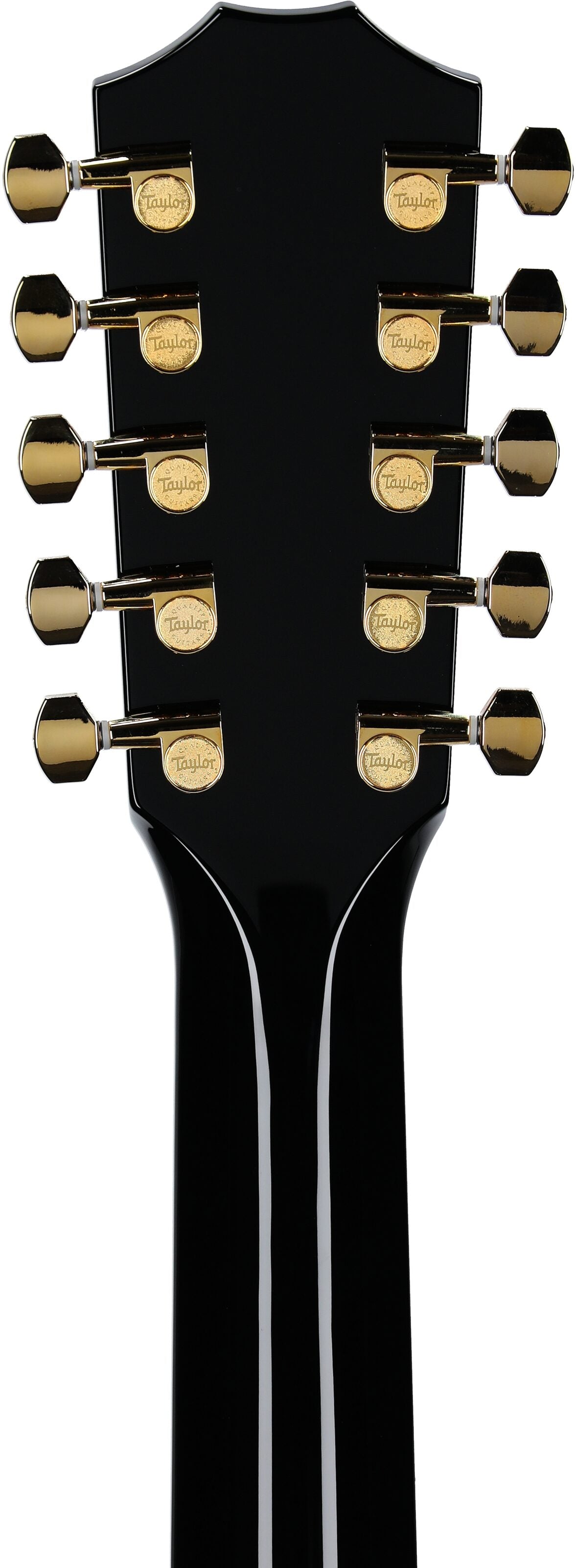 Đàn Guitar Acoustic Taylor 657CE Bajo Quinto - 10 Strings - Việt Music