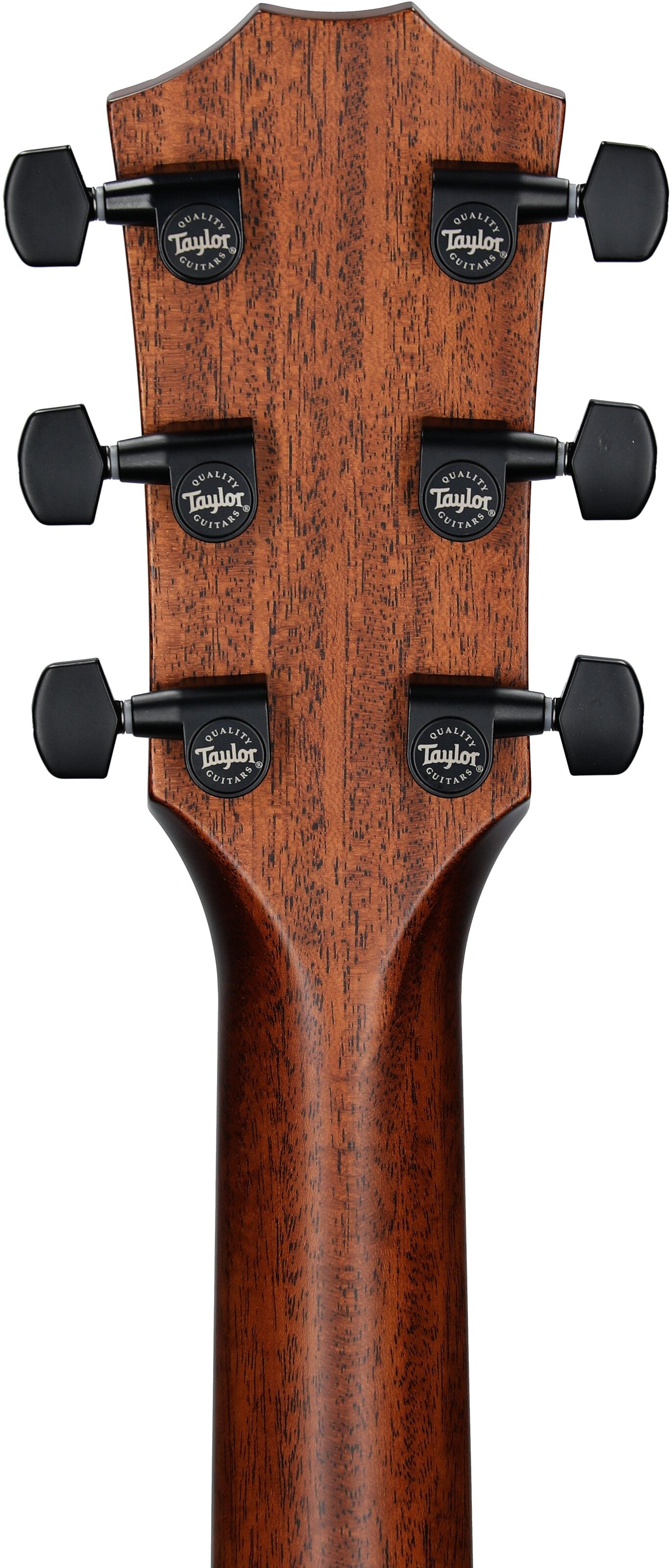 Đàn Guitar Acoustic Taylor 324CE - Việt Music