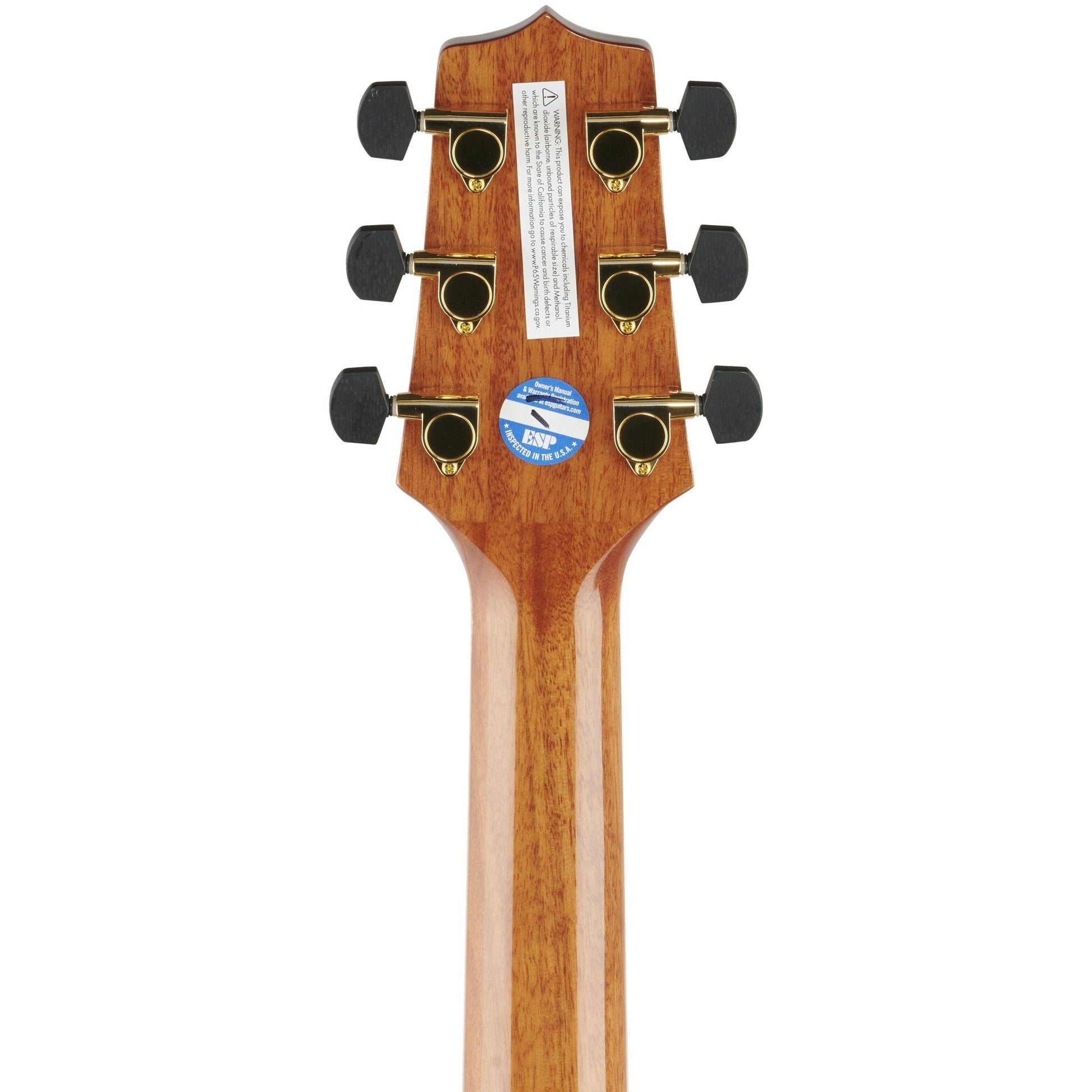 Đàn Guitar Acoustic Takamine GN93CE - Việt Music