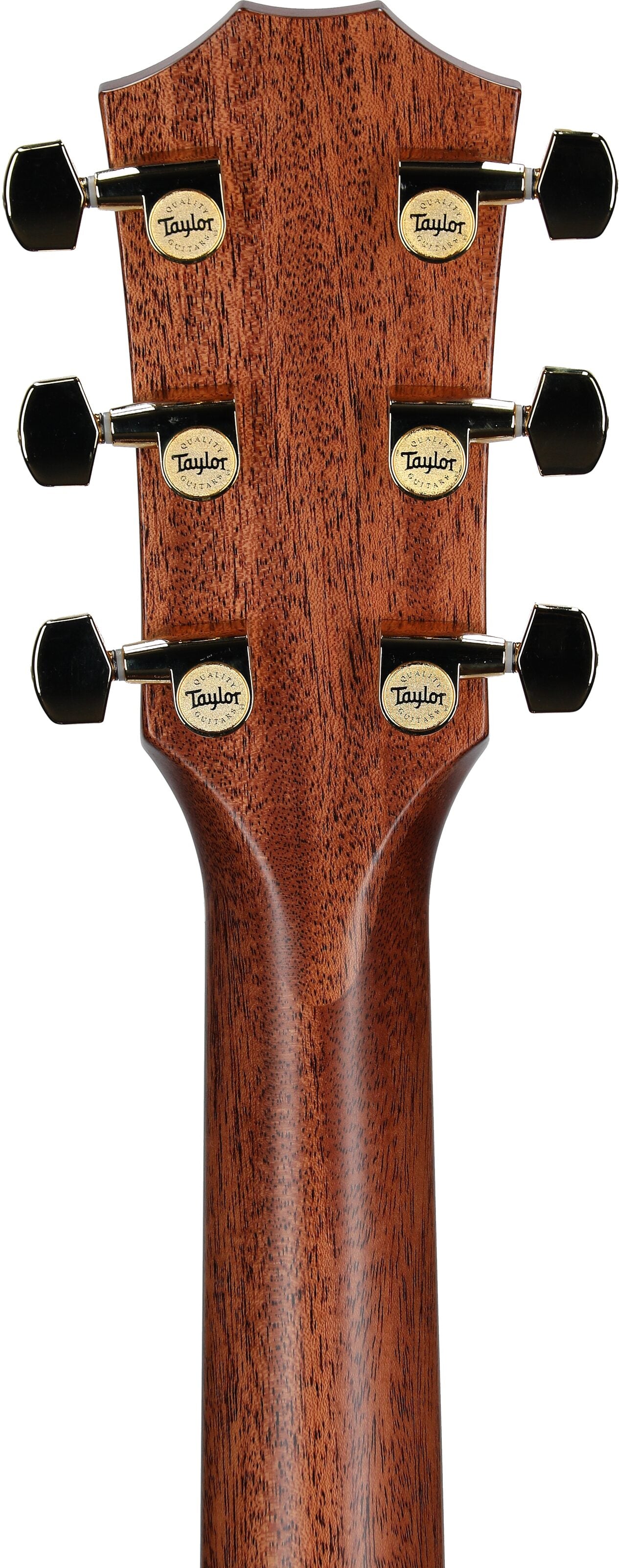 Đàn Guitar Acoustic Taylor Legacy 514CE - Việt Music