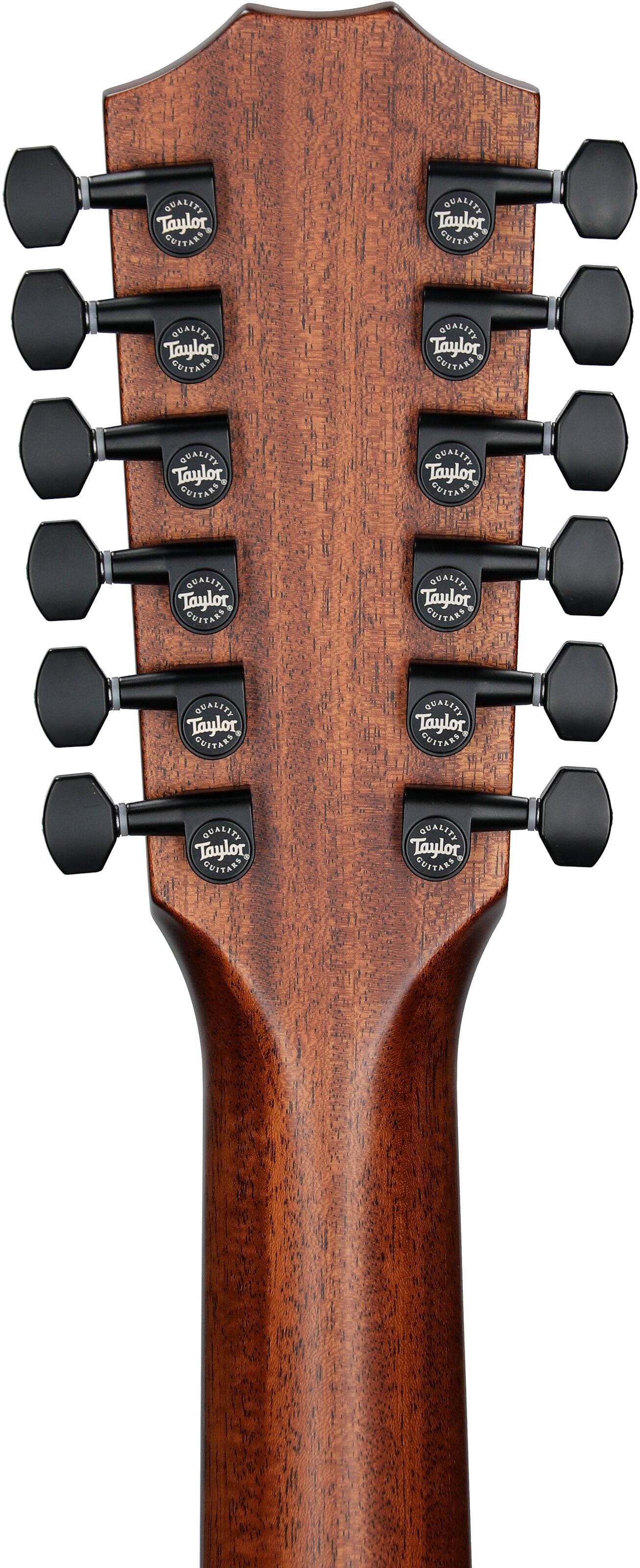 Đàn Guitar Acoustic Taylor 362CE - 12 Strings - Việt Music