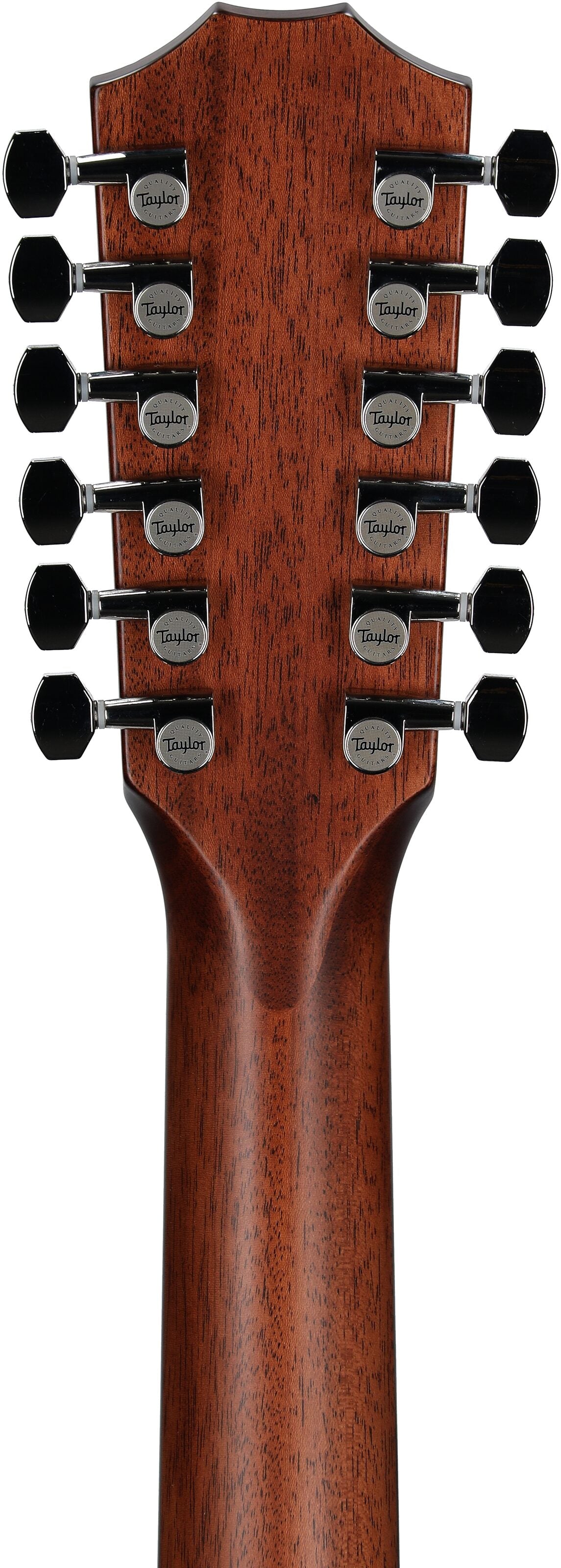 Đàn Guitar Acoustic Taylor 354CE - 12 Strings - Việt Music