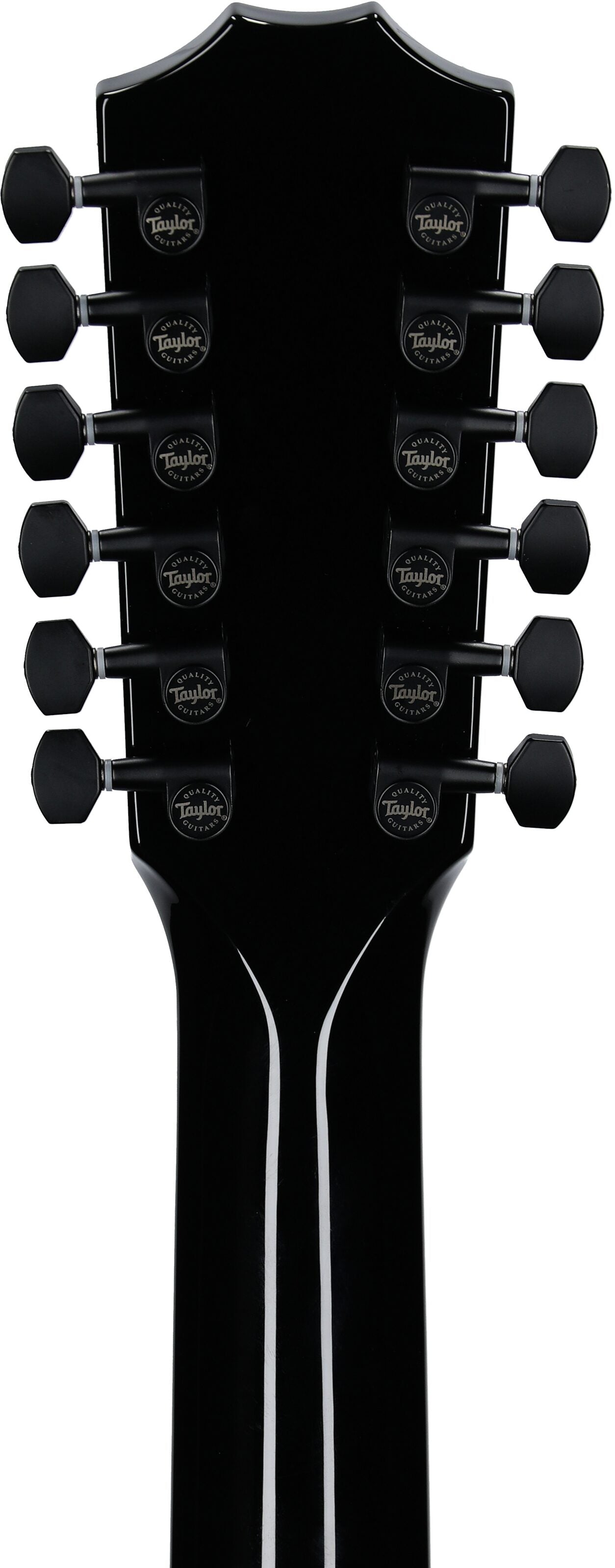 Đàn Guitar Acoustic Taylor 250CE Plus - 12 Strings - Việt Music