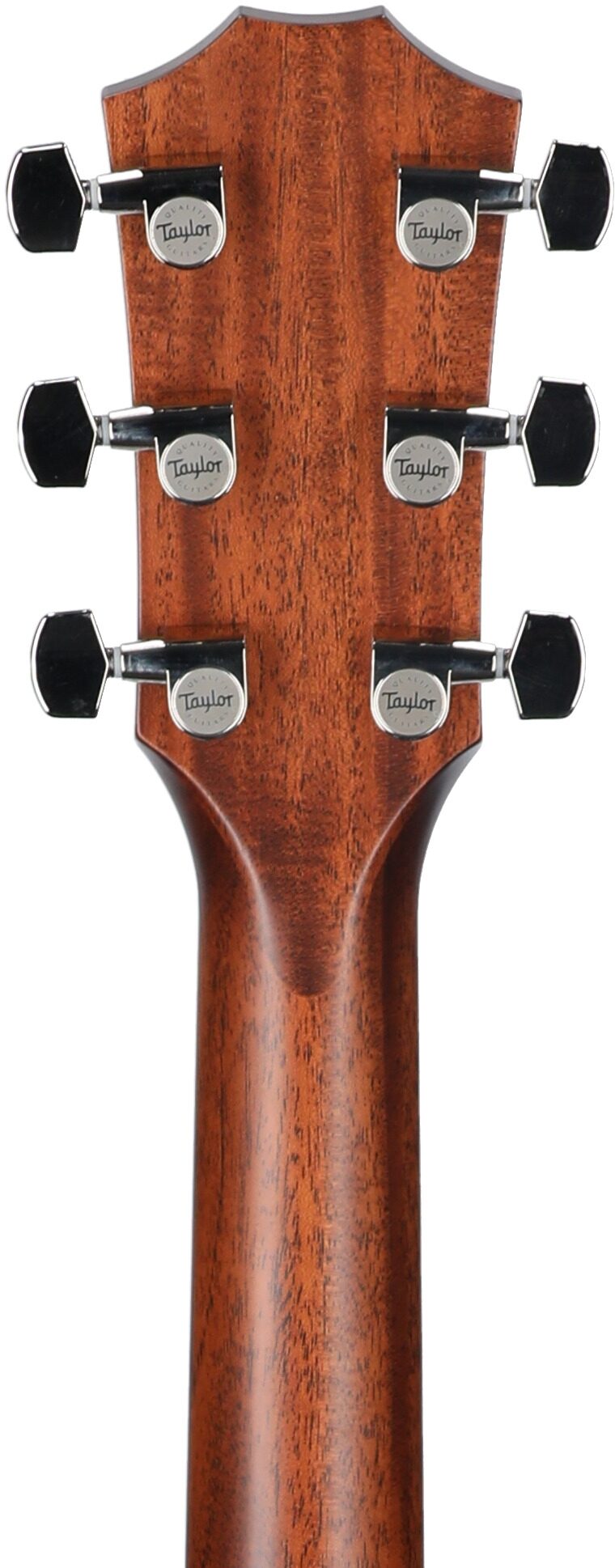 Đàn Guitar Acoustic Taylor 312CE - Việt Music