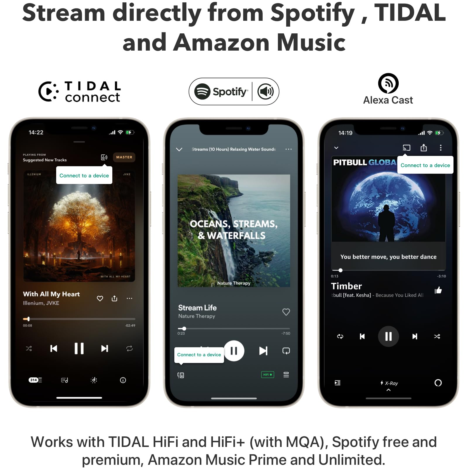 Amply WiiM Pro Plus - Music Streamers - Việt Music