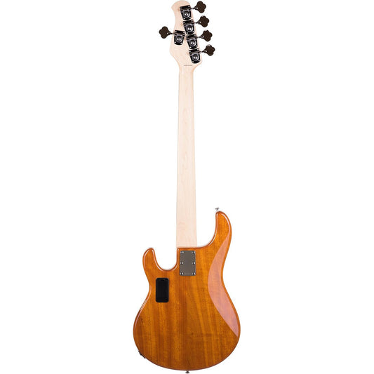 Đàn Guitar Bass Sterling By Music Man StingRay Ray35QM H, Maple Fingerboard - 5 Strings - Việt Music