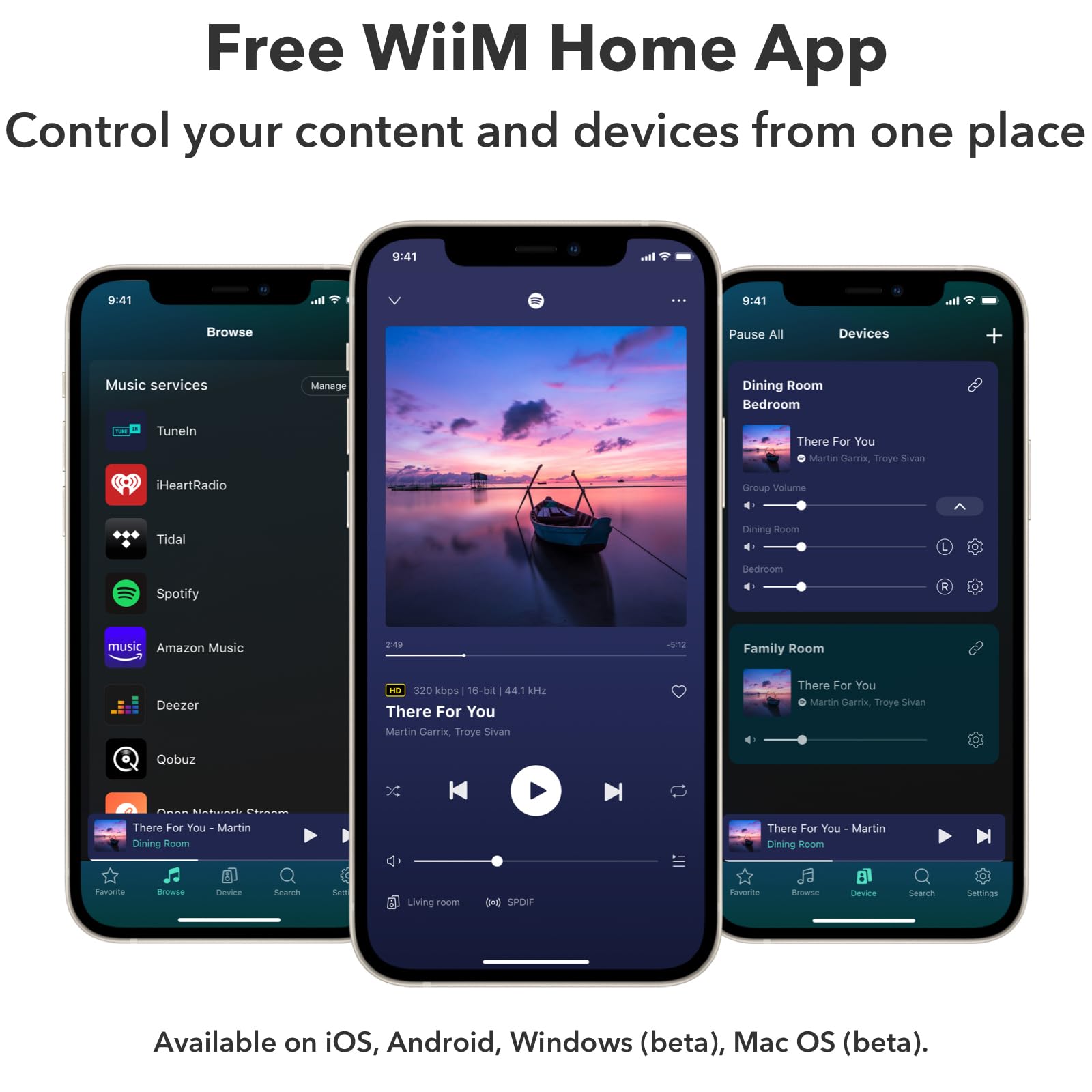 Amply WiiM Pro Plus - Music Streamers - Việt Music