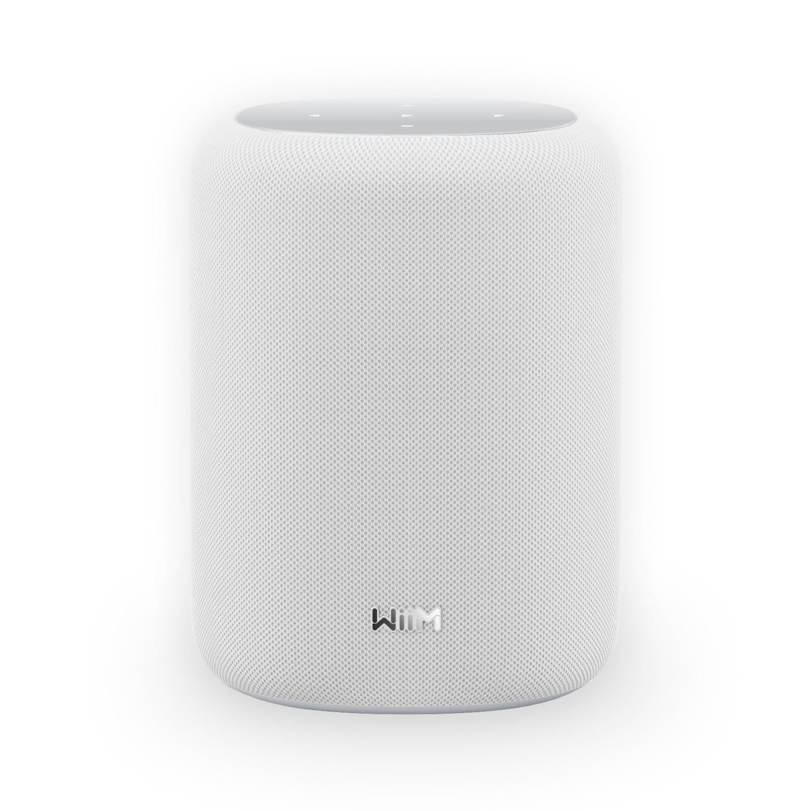 Loa WiiM Sound Lite Bluetooth, 100W - Việt Music