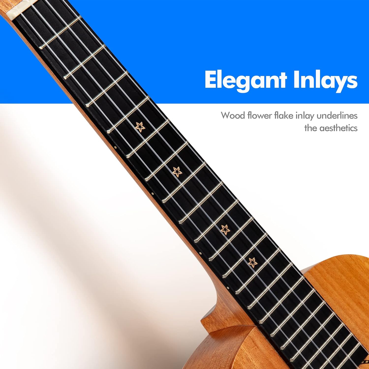 Đàn Ukulele Concert Enya 25D Solid Mahogany - Việt Music