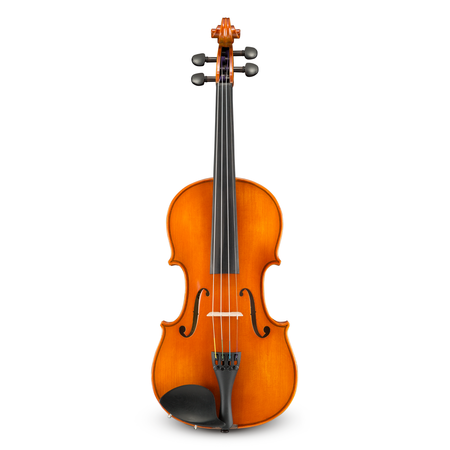 Đàn Violin Samuel Eastman VL100 4/4 - Việt Music