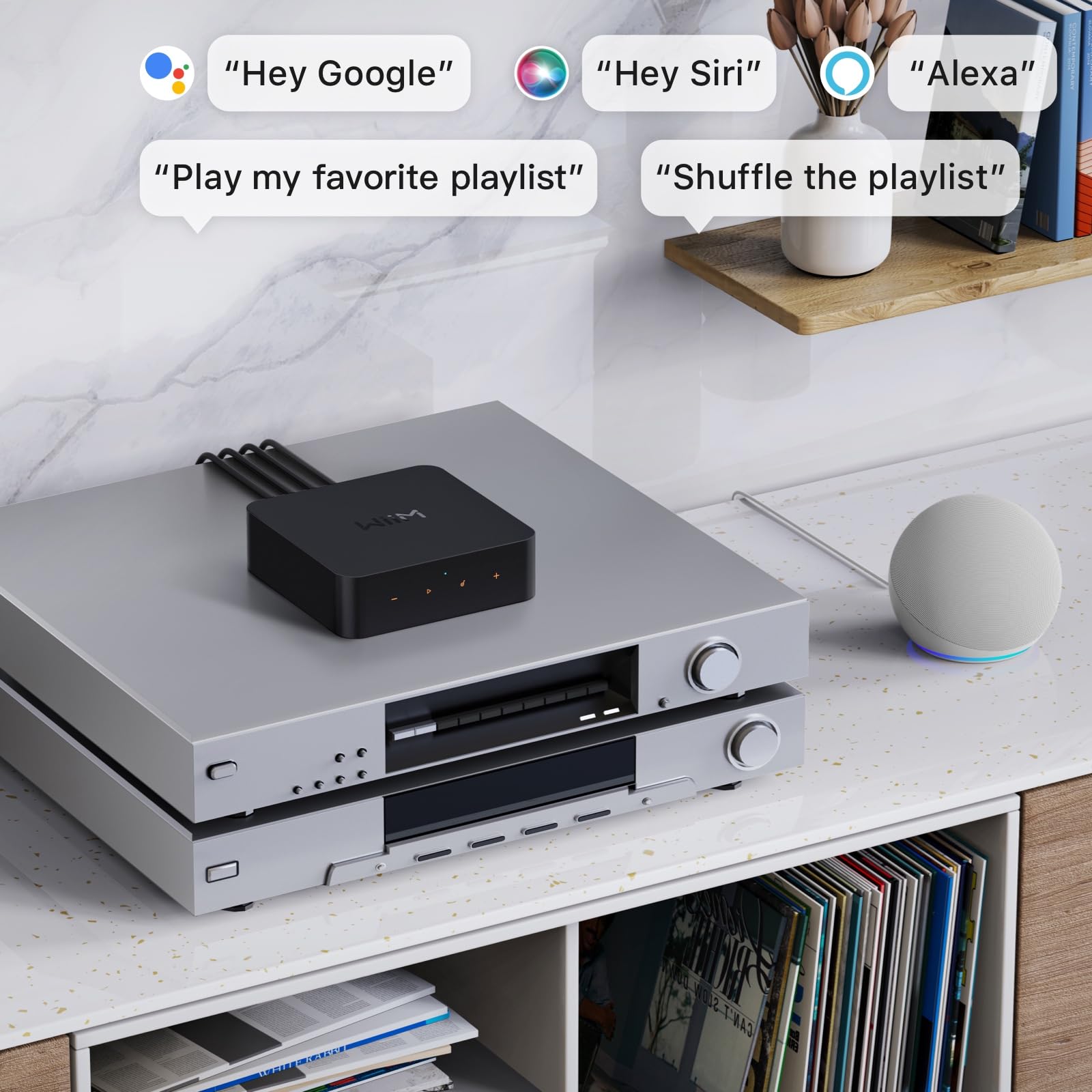 Amply WiiM Pro - Music Streamers - Việt Music
