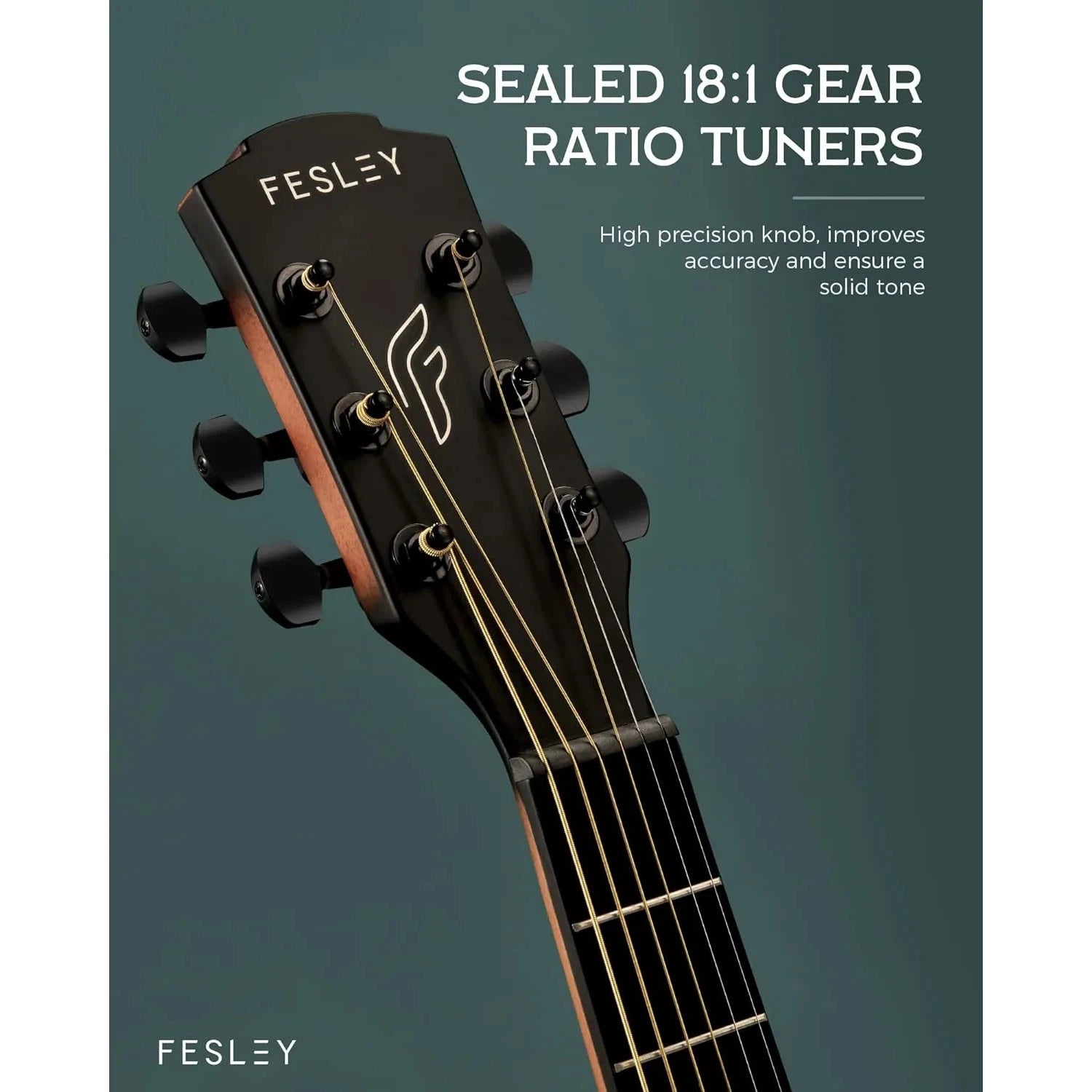 Đàn Guitar Acoustic Fesley FF60 - Việt Music