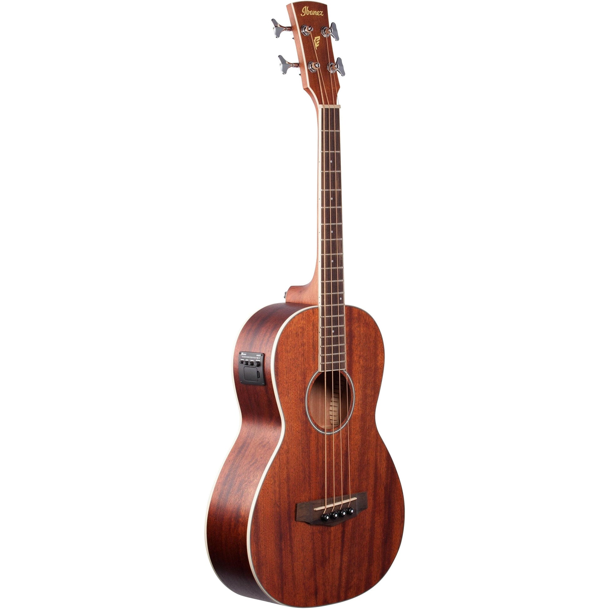 Đàn Guitar Bass Acoustic Ibanez PNB14E Laurel Fingerboard - 4 Strings - Việt Music
