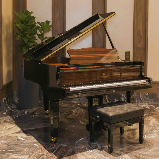 Grand Piano Wilhelm Grotrian WGS165AR - 185th Anniversary - Việt Music