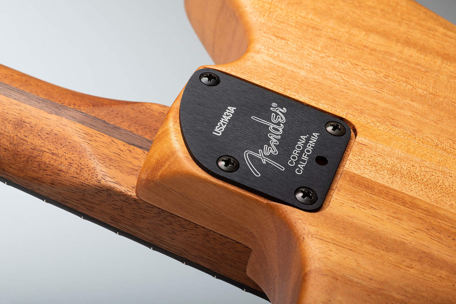 Fender American Acoustasonic Jazzmaster Lưng Back