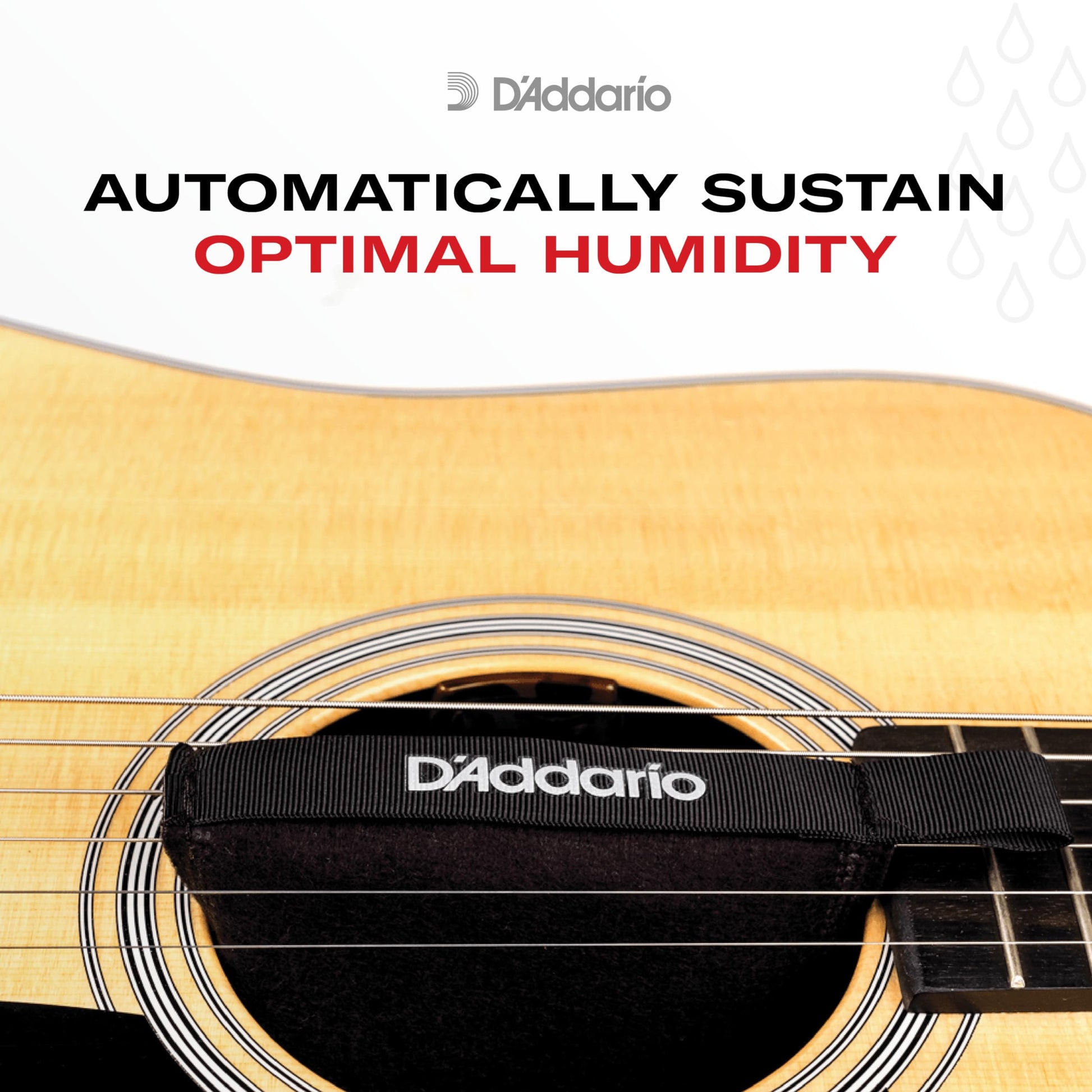 Thiết Bị Kiểm Soát Độ Ẩm Đàn Guitar D'Addario PW-HPK-04 Humidipak Absorb - Việt Music