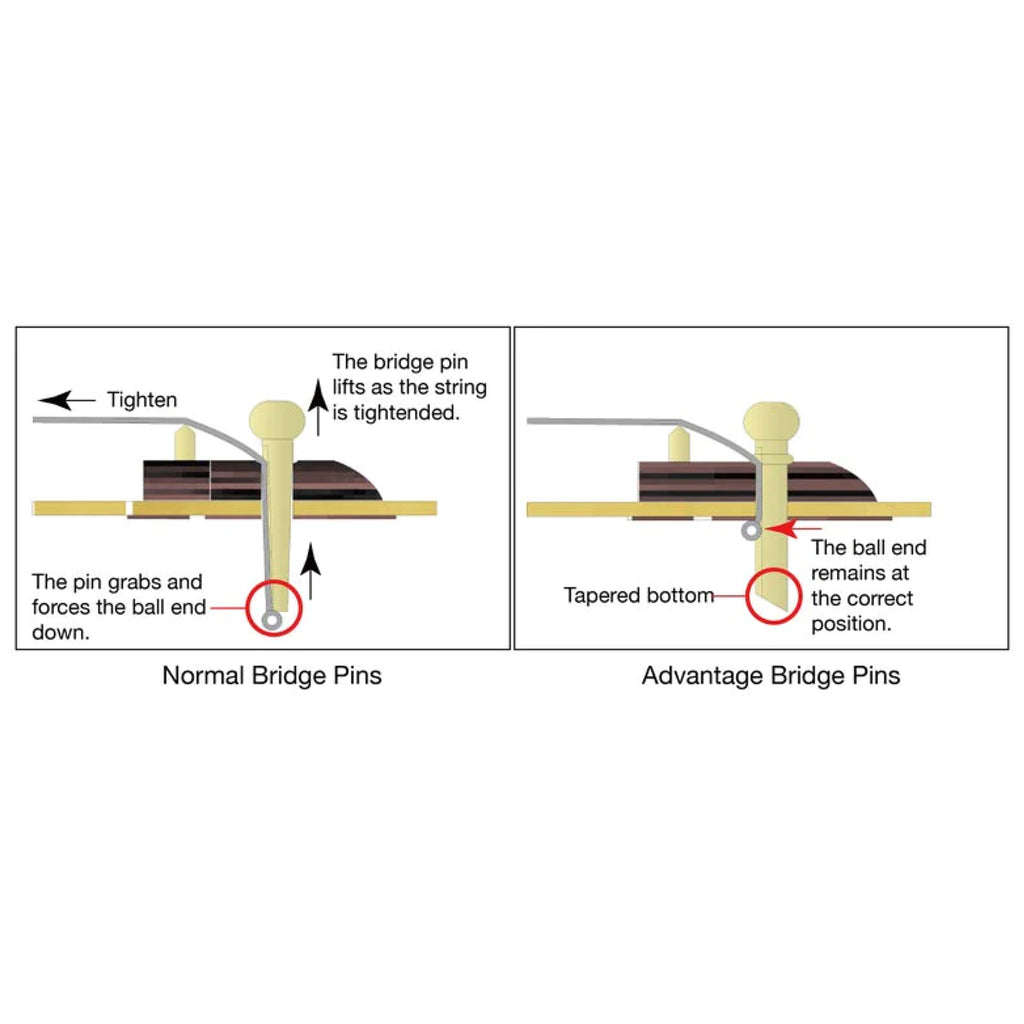 Ibanez Advantage™ Bridge Pins