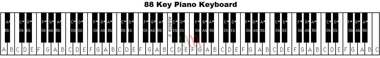 Đàn Piano Có Bao Nhiêu Phím?
