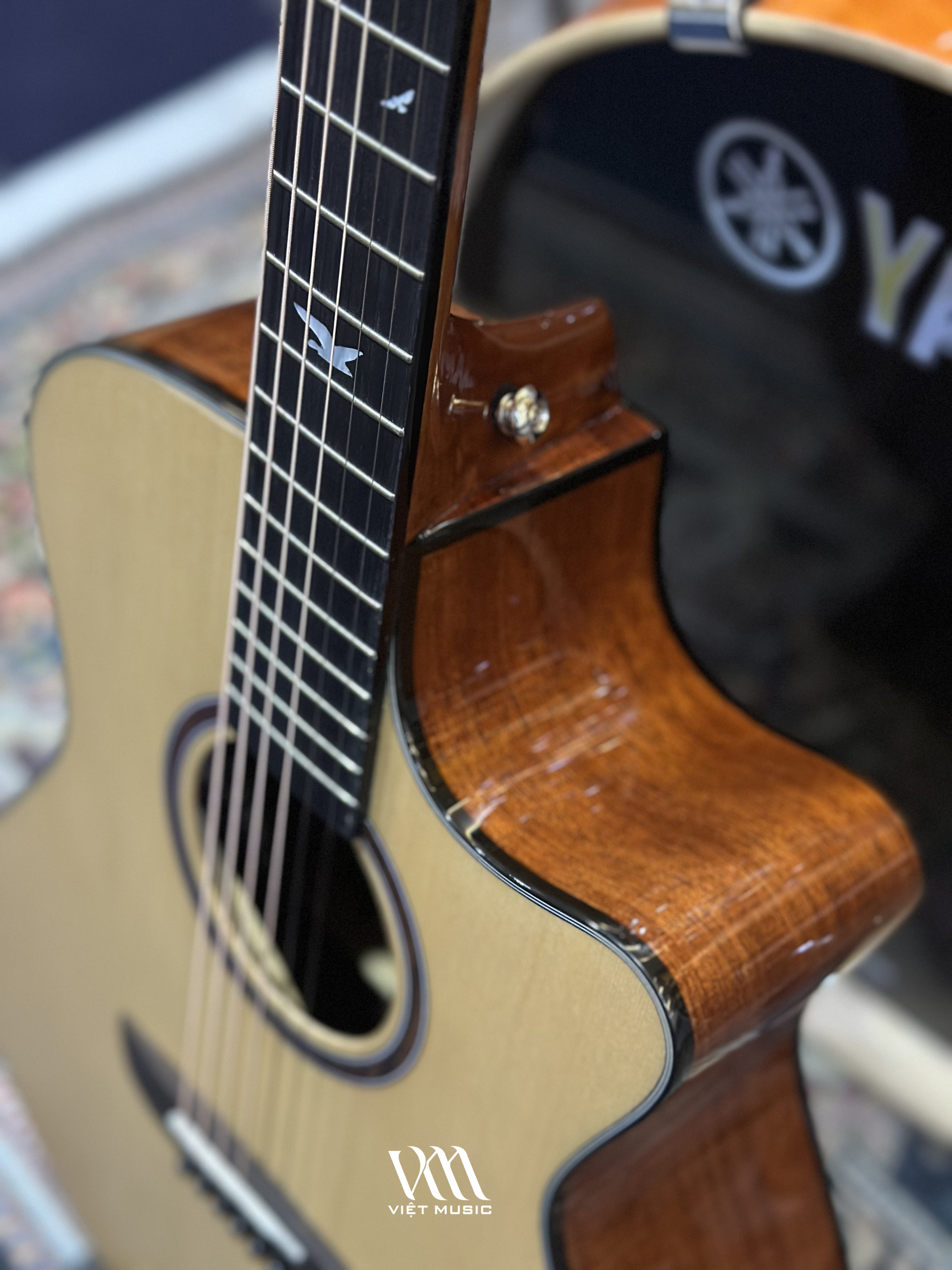 Đàn Guitar Acoustic Murcia AS-10CE - Việt Music