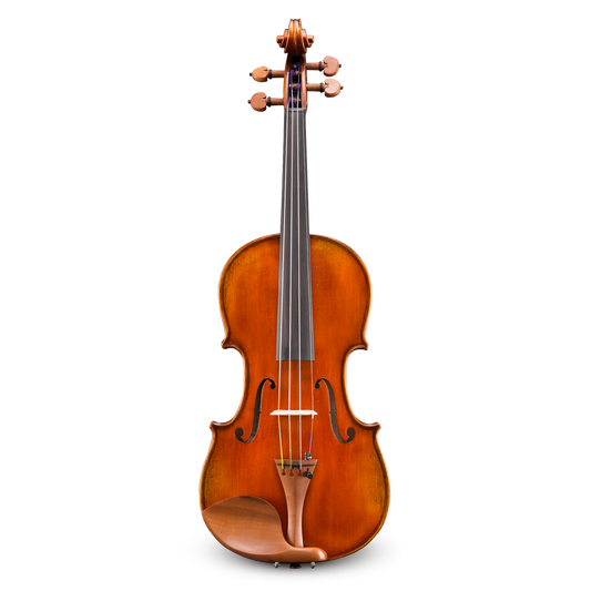 Đàn Violin Andreas Eastman VL405 4/4 - Việt Music