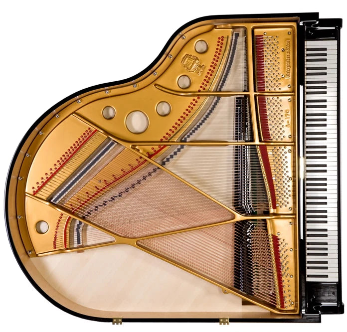 Grand Piano Steingraeber & Söhne A-170 - Salon Grand - Việt Music