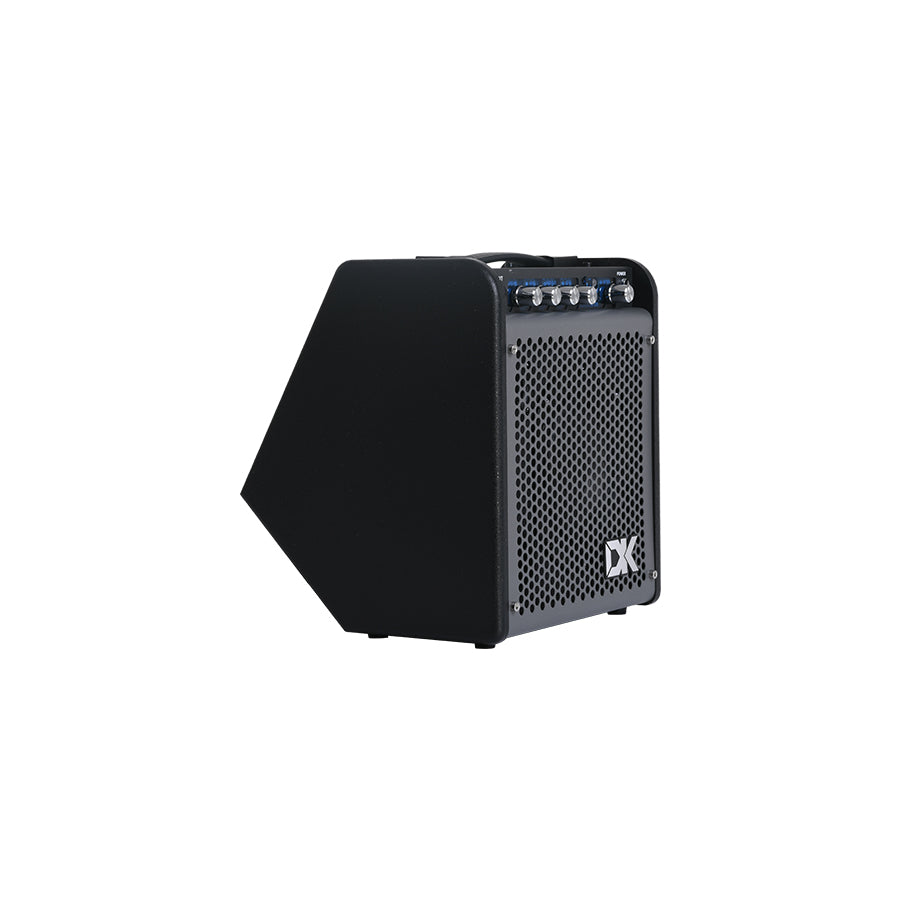 Amplifier DK iD-25, Combo - Việt Music