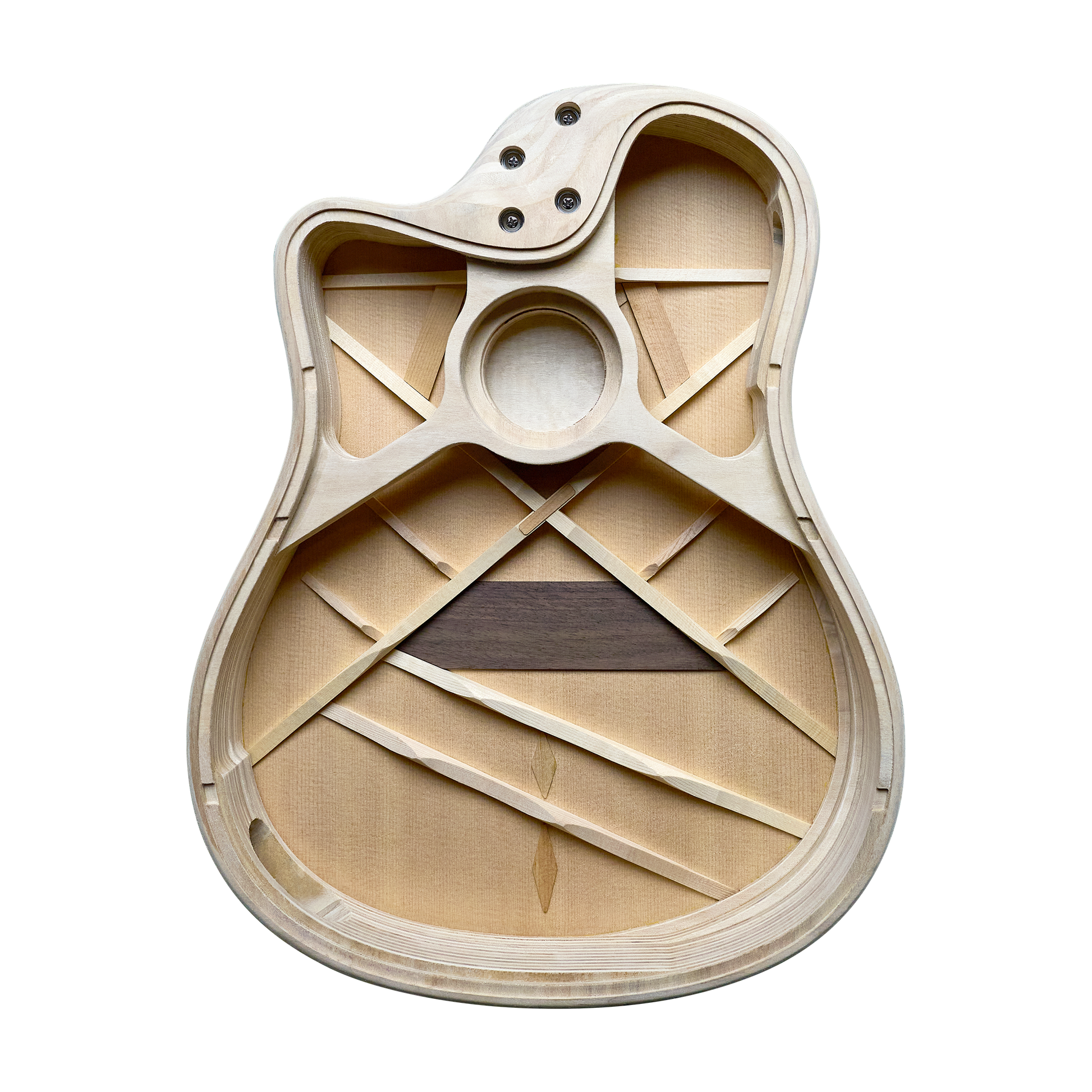 Đàn Guitar Acoustic LR Baggs AEG-1 - Việt Music