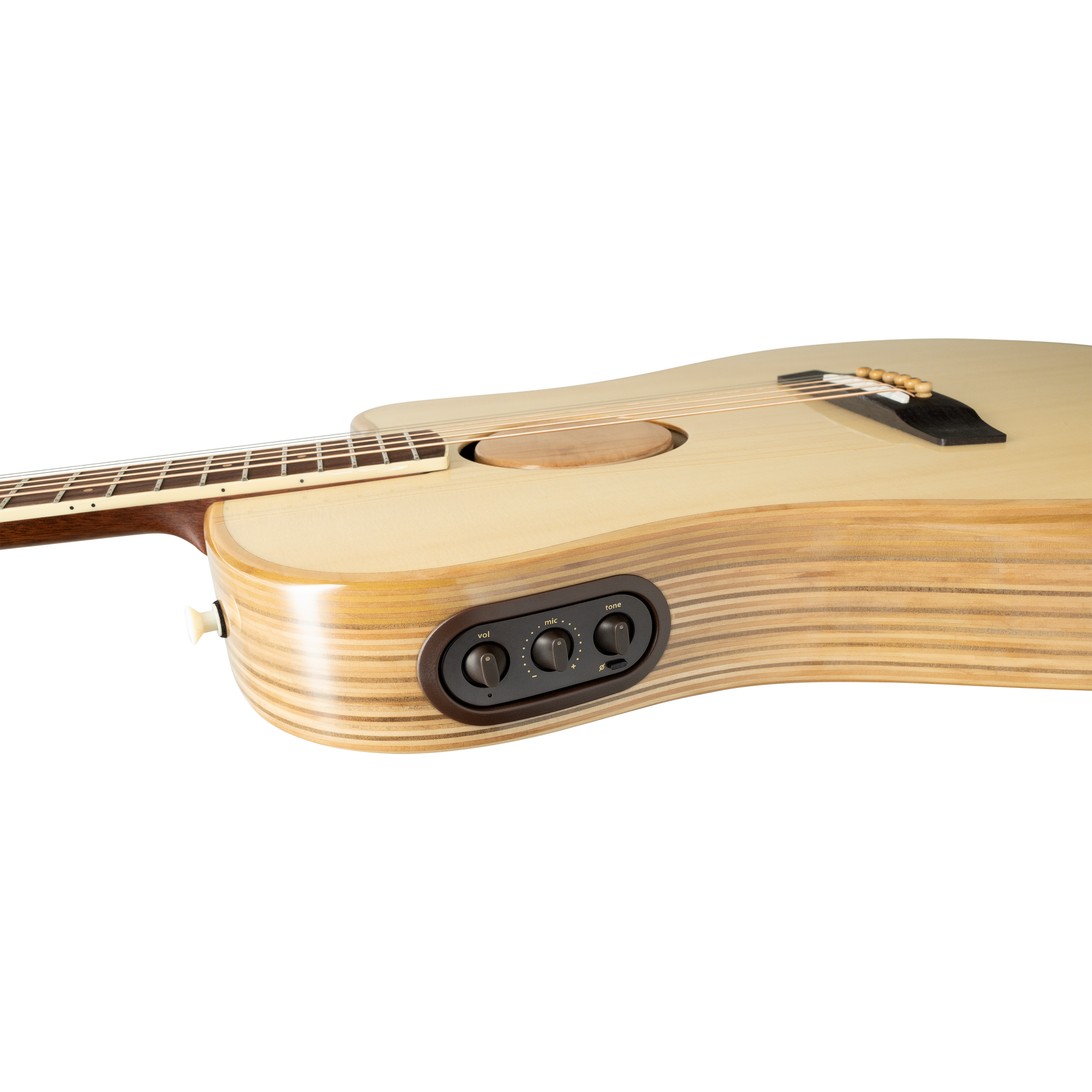 Đàn Guitar Acoustic LR Baggs AEG-1 - Việt Music