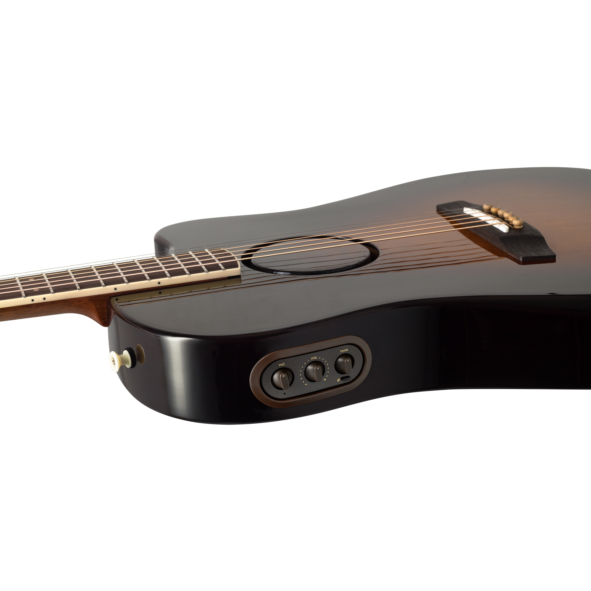 Đàn Guitar Acoustic LR Baggs AEG-1 - Việt Music