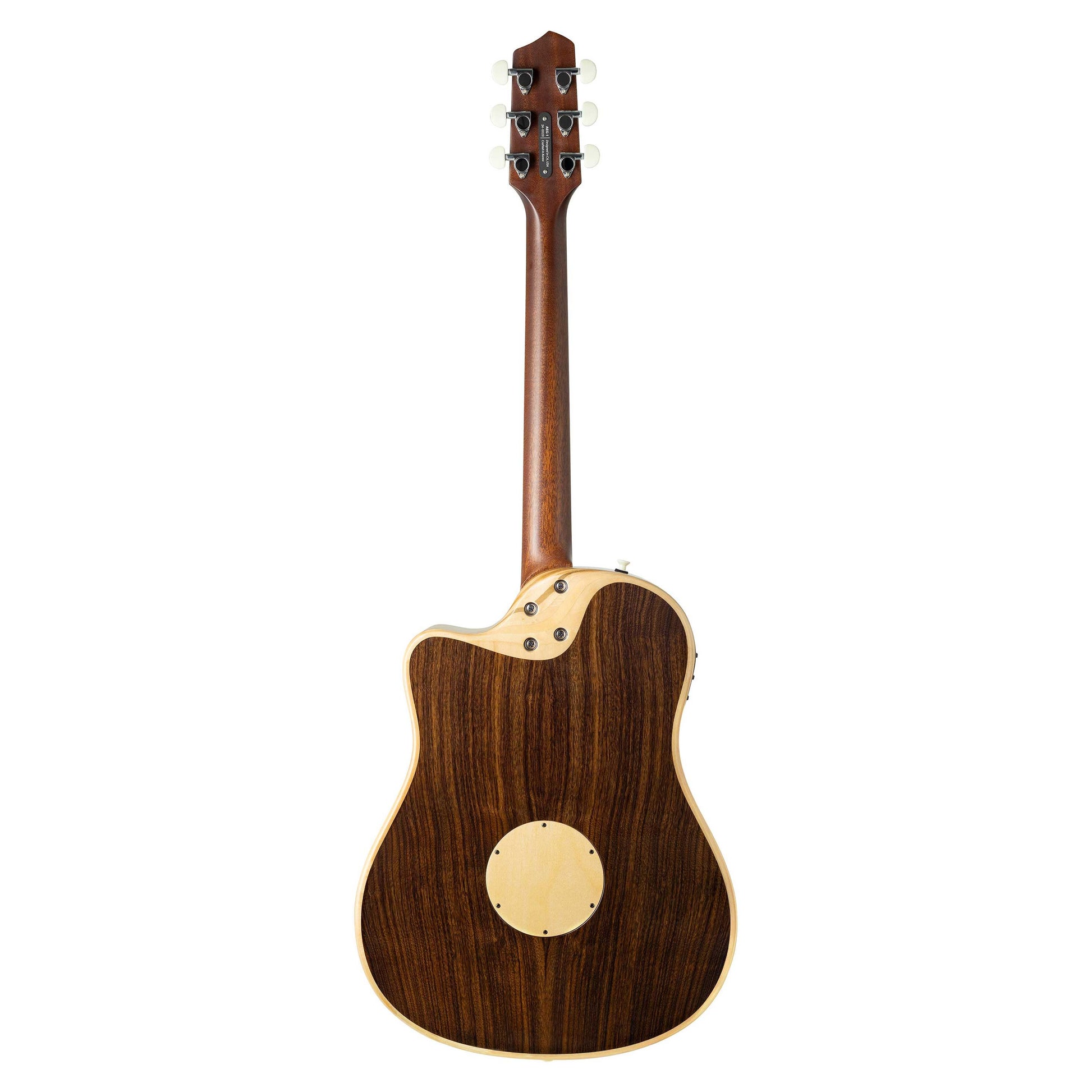 Đàn Guitar Acoustic LR Baggs AEG-1 - Việt Music