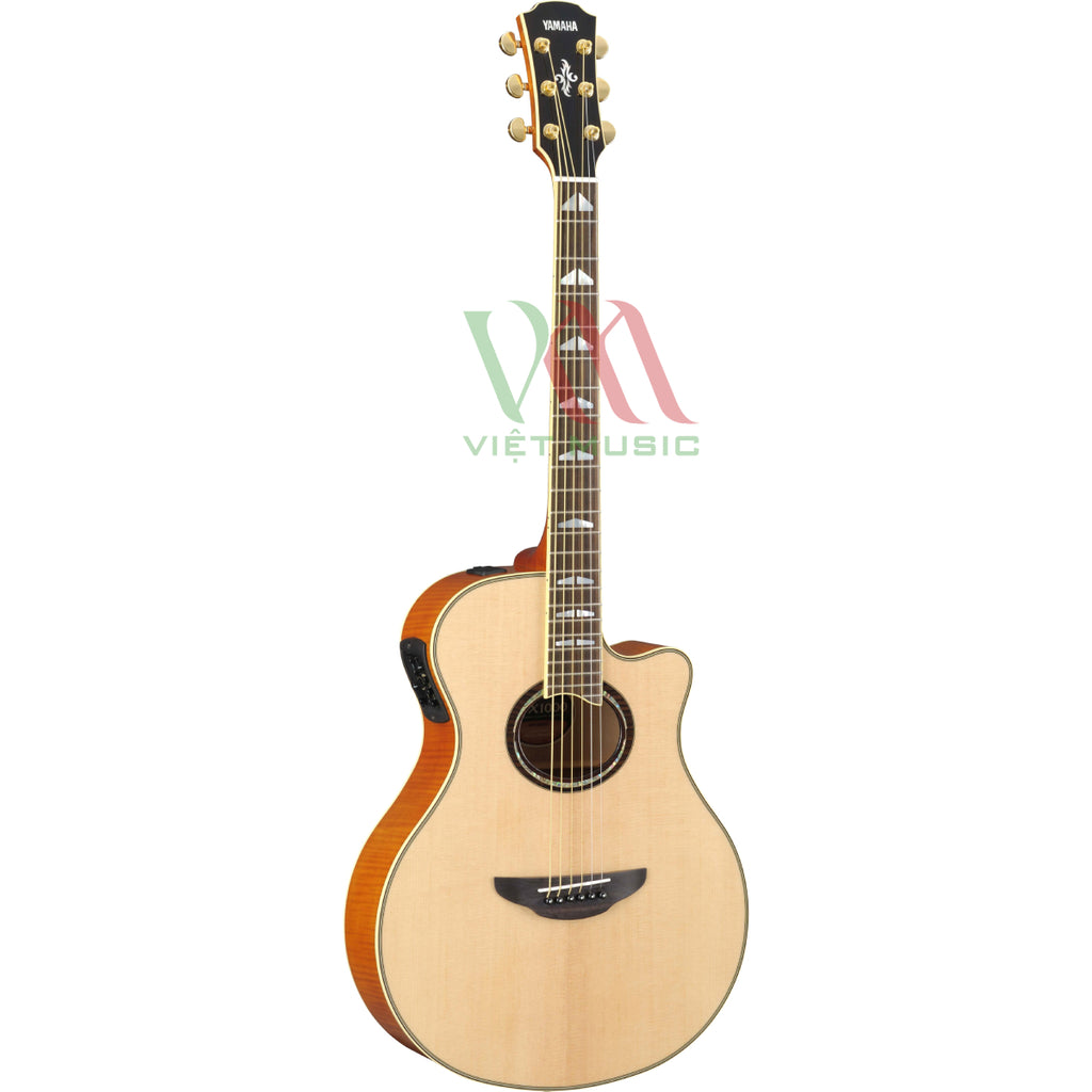 Đàn Guitar Acoustic Yamaha APX1000 - APX Series