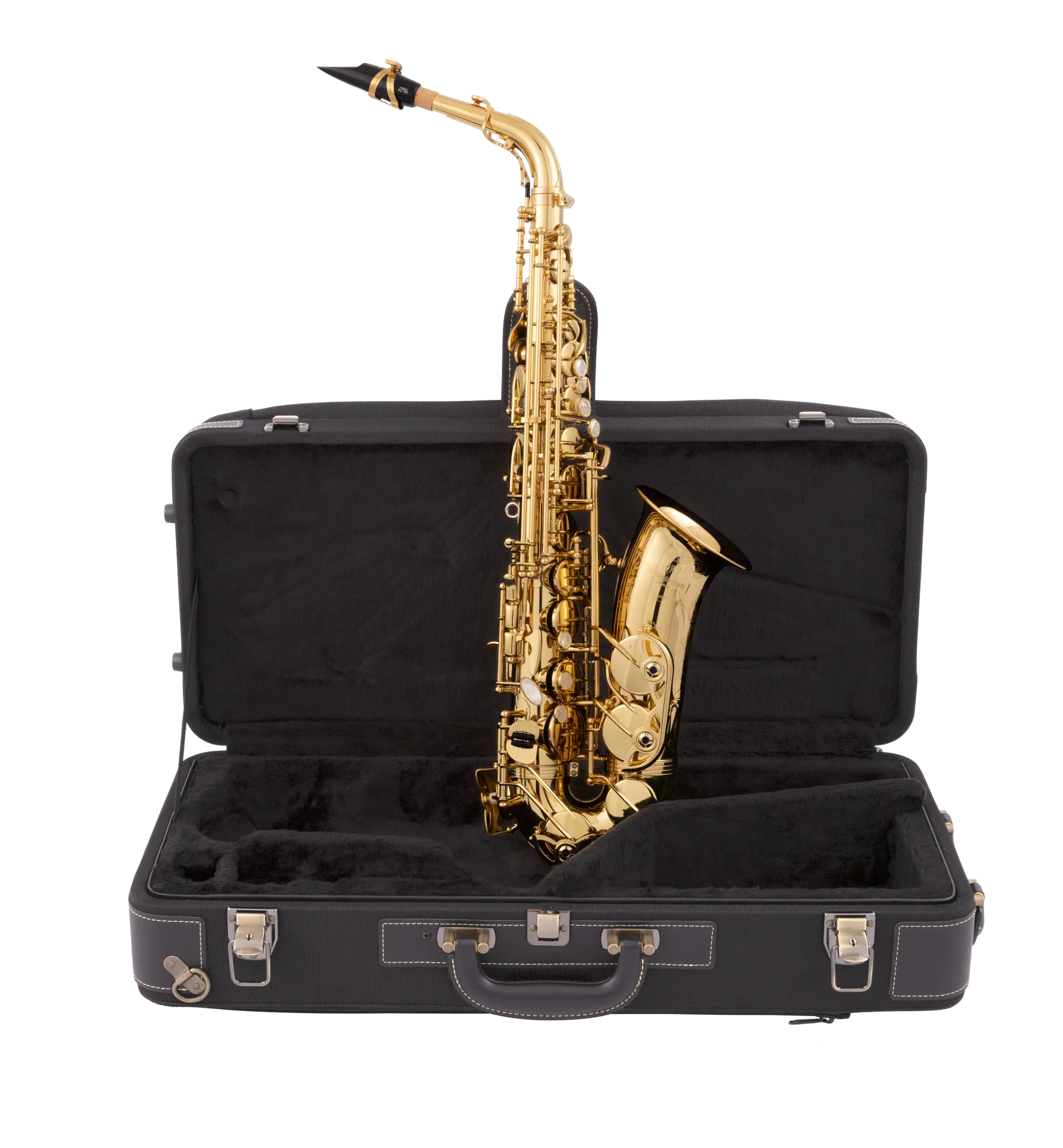 Kèn Saxophone Alto Yanagisawa A-WO10 - Việt Music