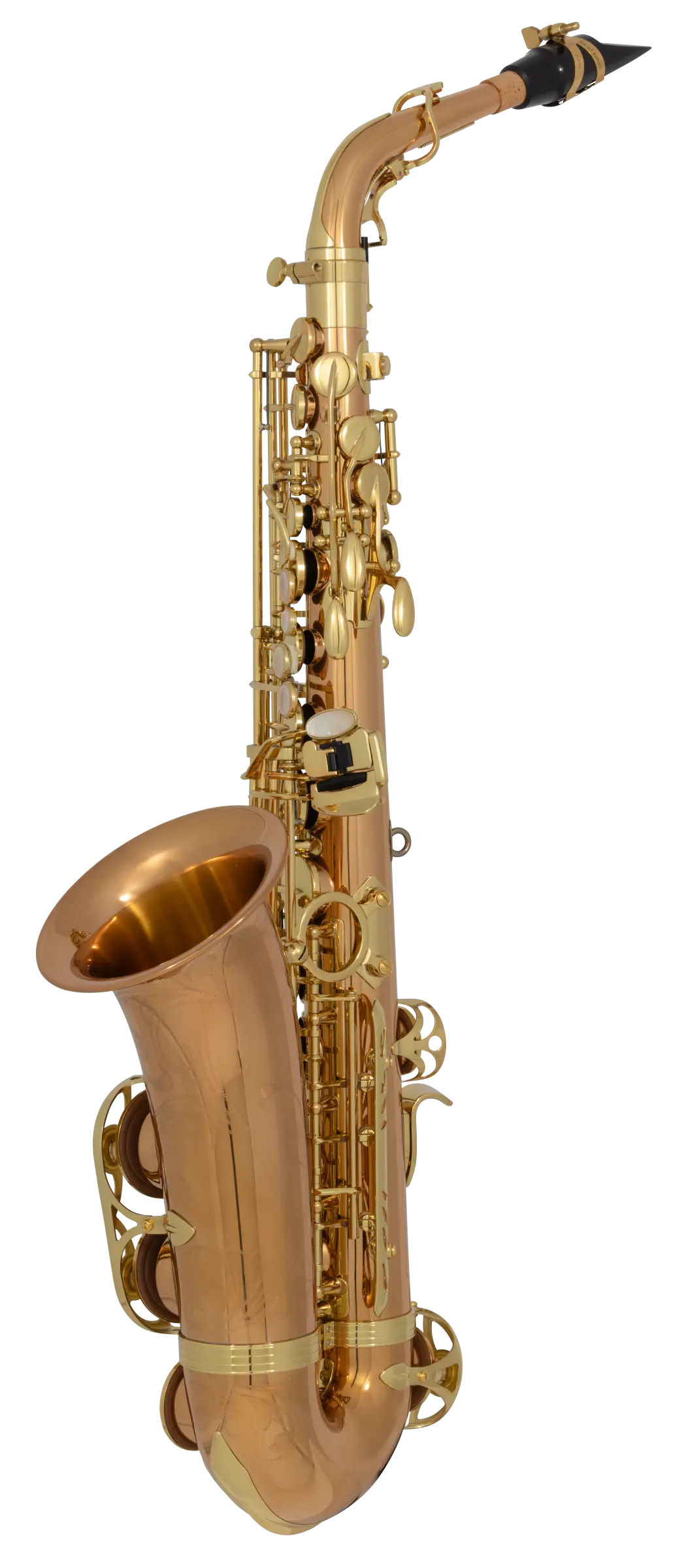 Kèn Saxophone Alto Yanagisawa A-WO20 - Việt Music