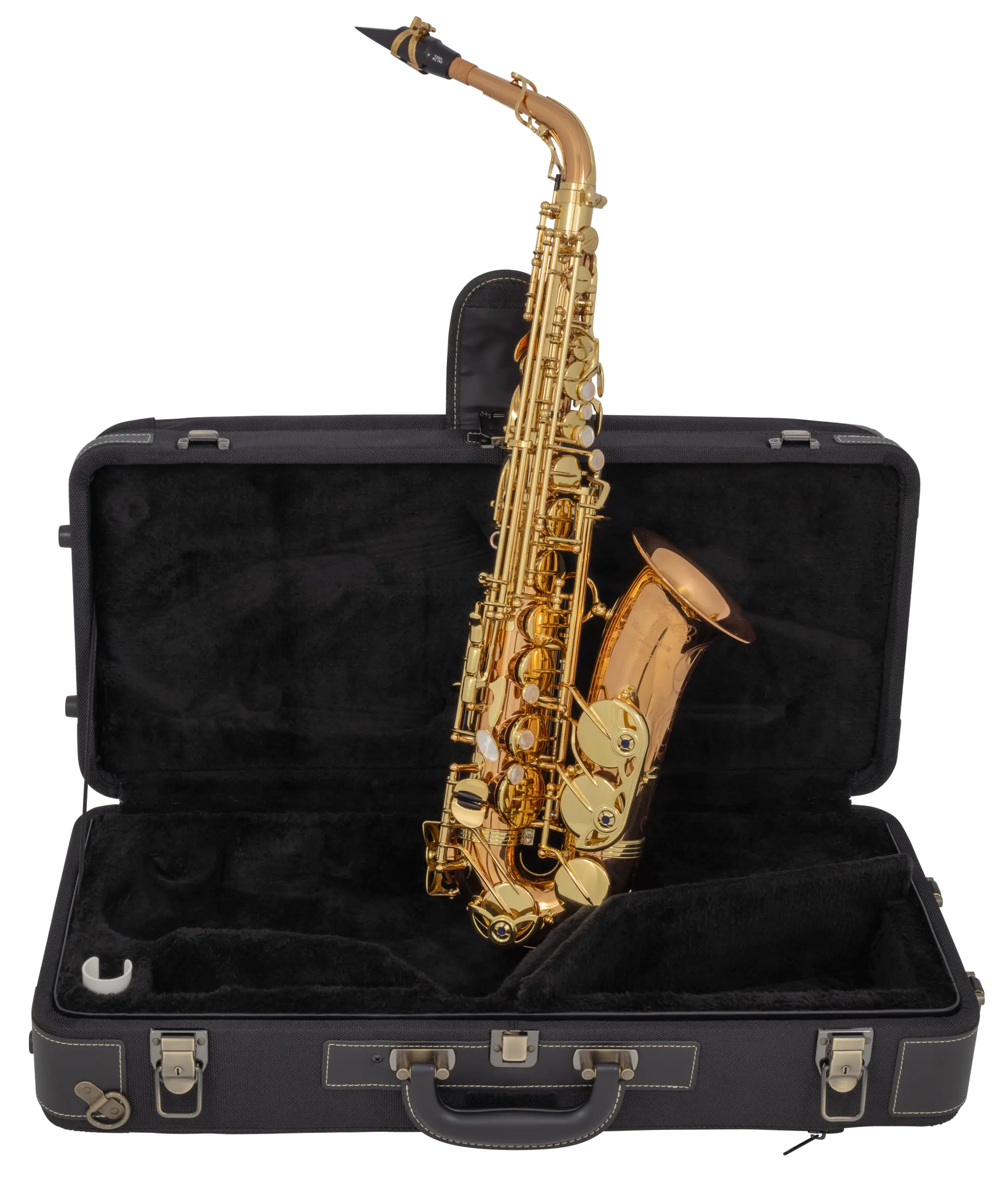 Kèn Saxophone Alto Yanagisawa A-WO20 - Việt Music