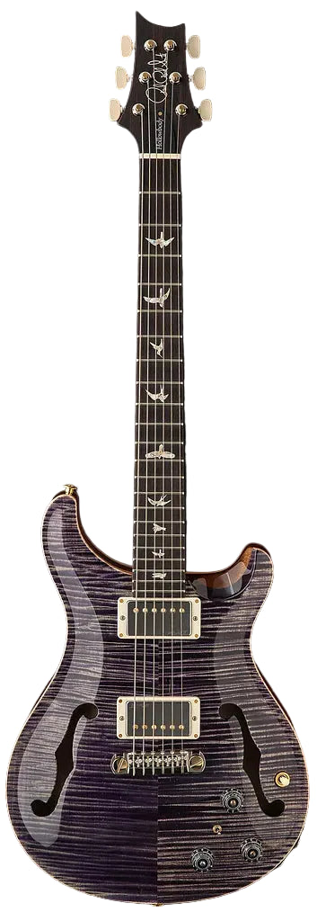 Đàn Guitar Điện PRS Core Hollowbody II Piezo 10-Top HH, Rosewood Fingerboard (2025) - Việt Music