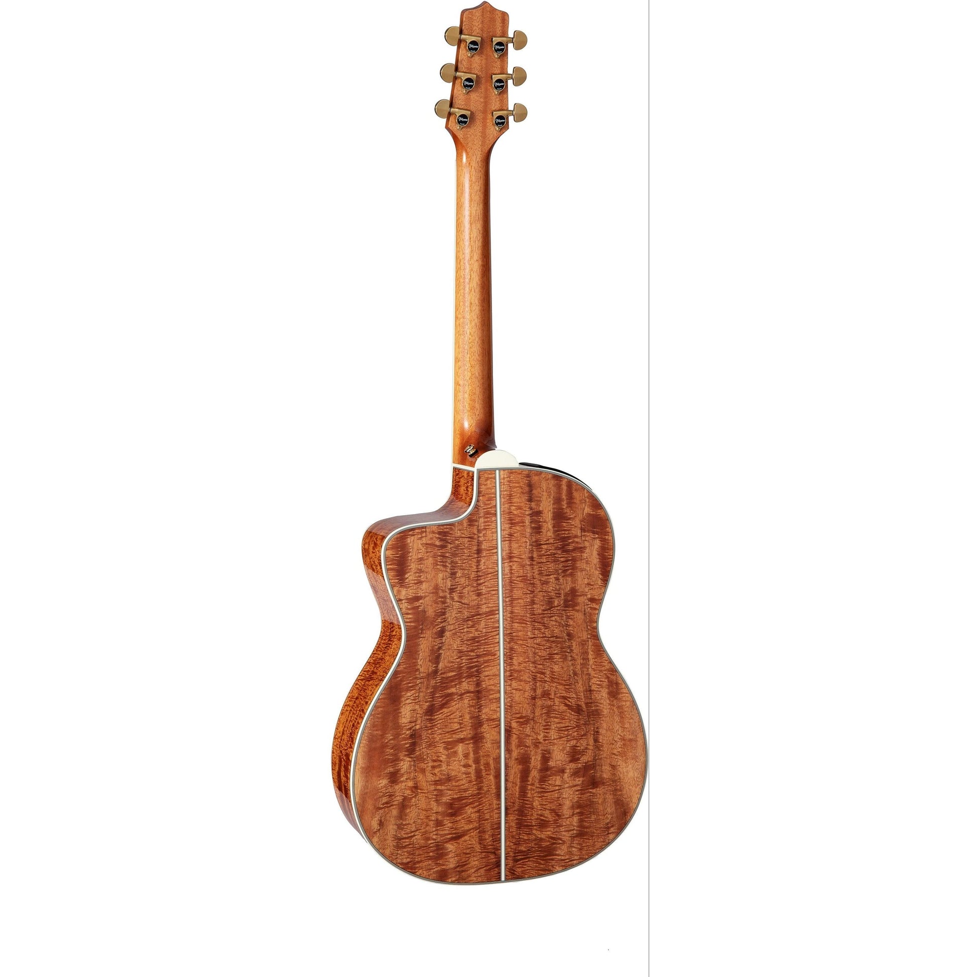 Đàn Guitar Acoustic Takamine LTD 2022 - Việt Music