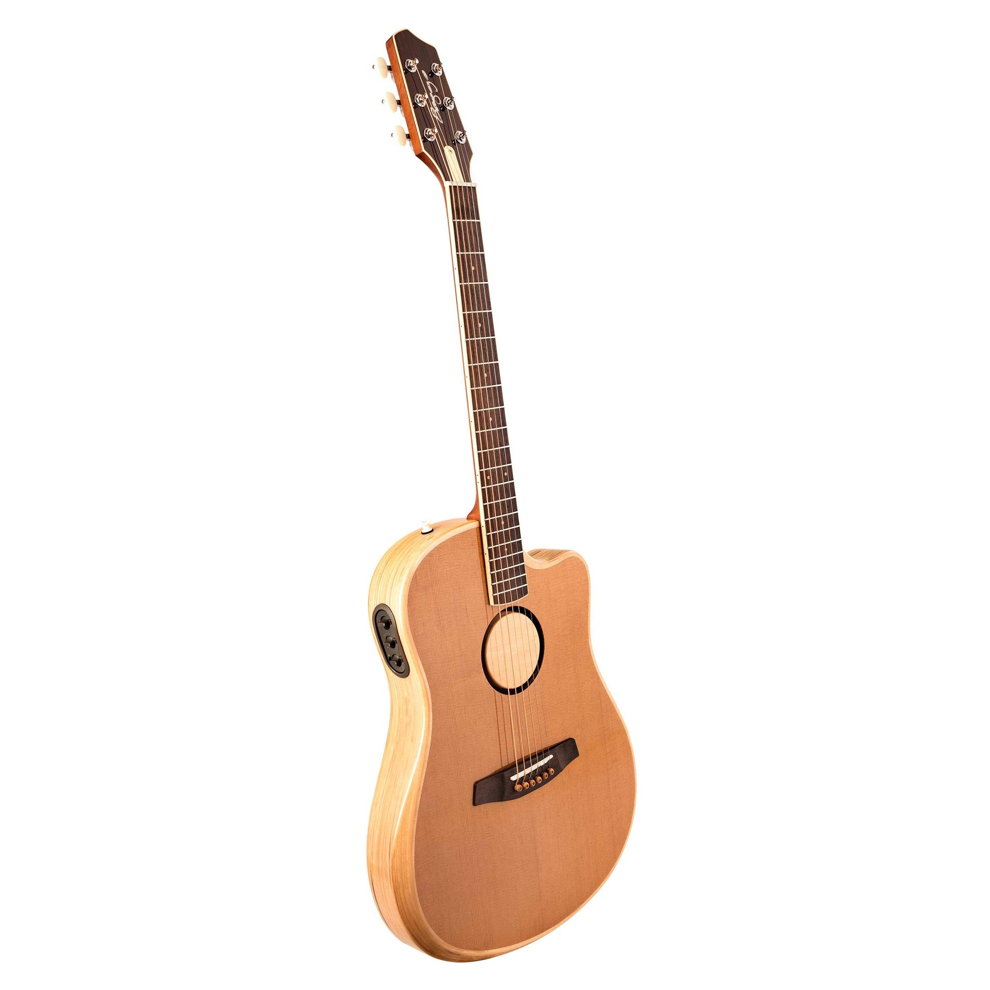 Đàn Guitar Acoustic LR Baggs AEG-1 - Việt Music