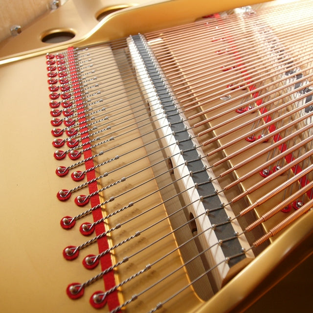 Grand Piano Steingraeber & Söhne B-192 - Salon Concert Grand - Việt Music
